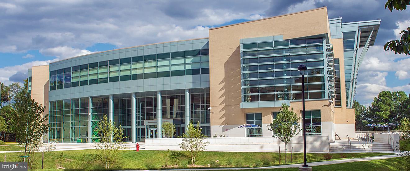 3705 S GEORGE MASON DRIVE 1409S