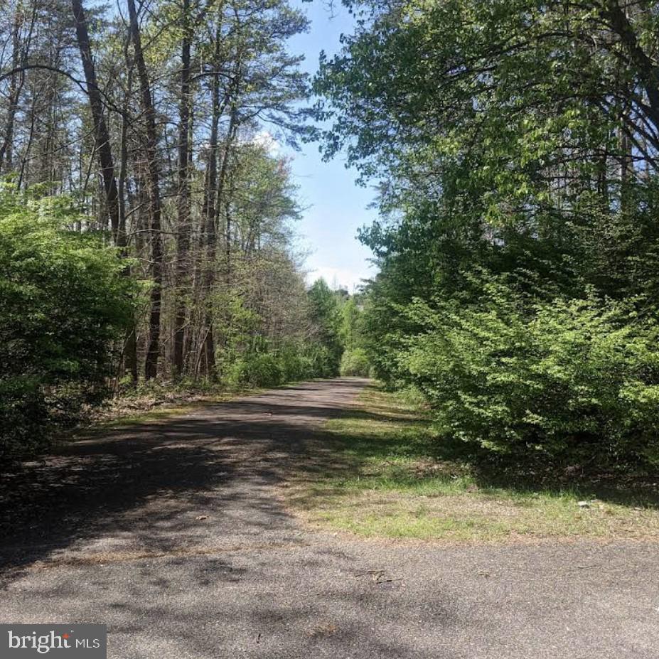 7702 NEWINGTON FOREST AVENUE