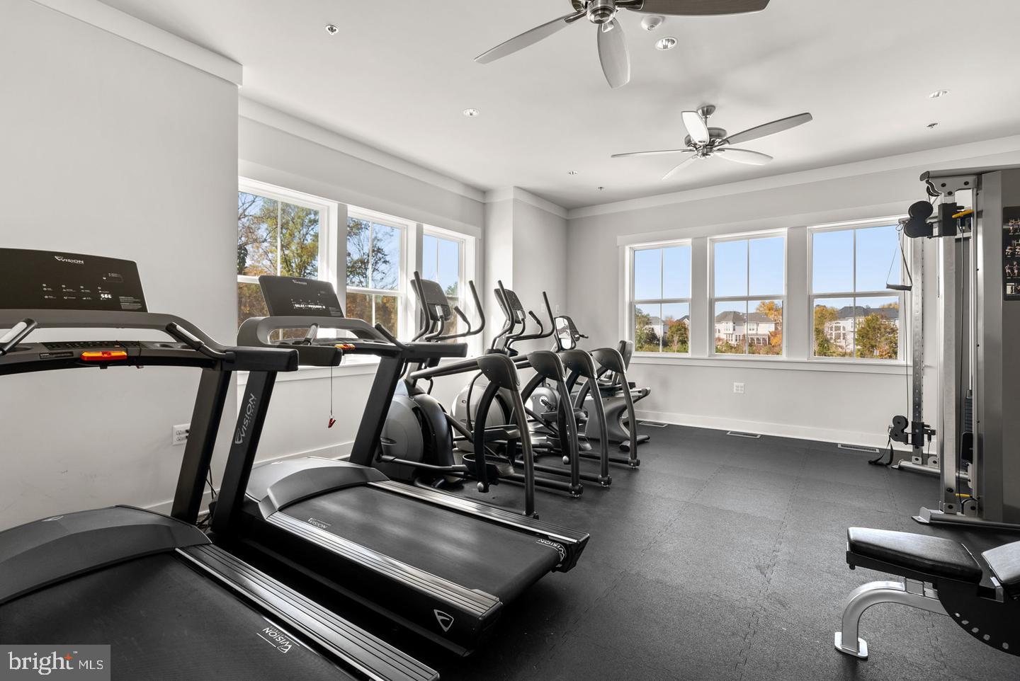 43441 BETTYS FARM DRIVE