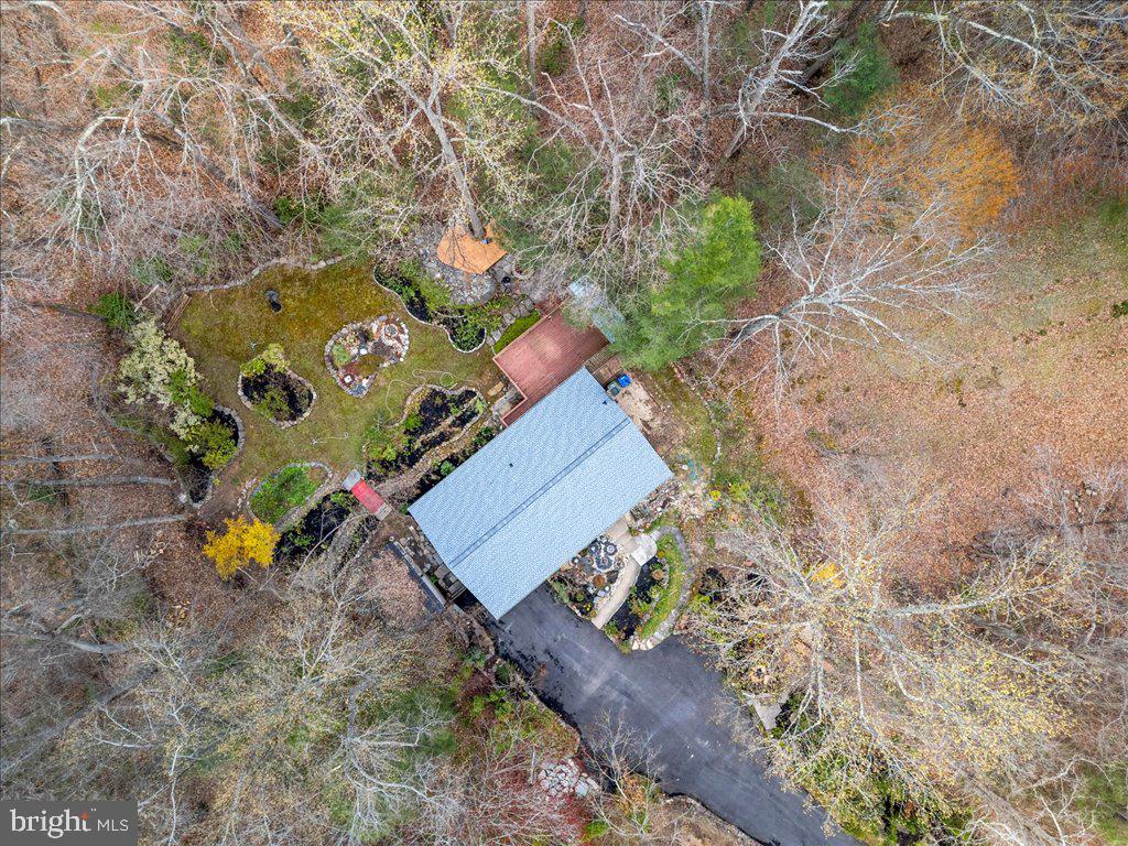 12243 Chinaberry Ct