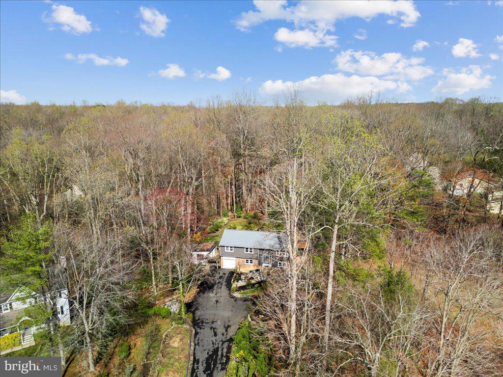 12243 Chinaberry Ct