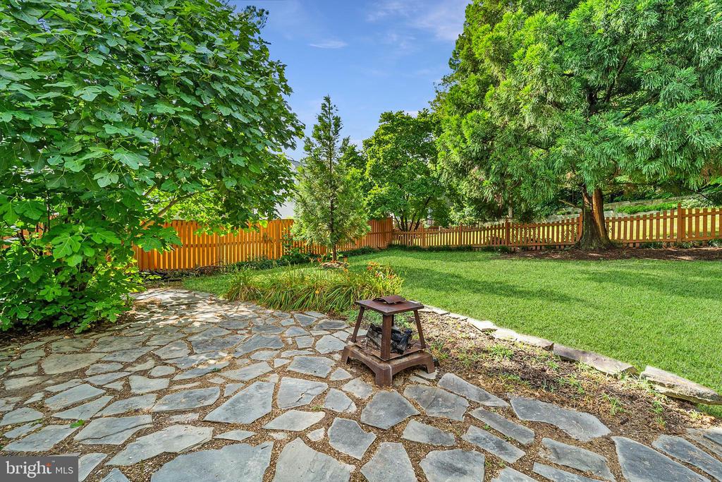 3933 Leaf Lawn Ln