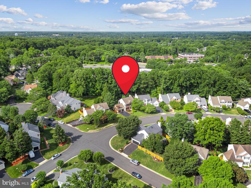 3933 Leaf Lawn Ln