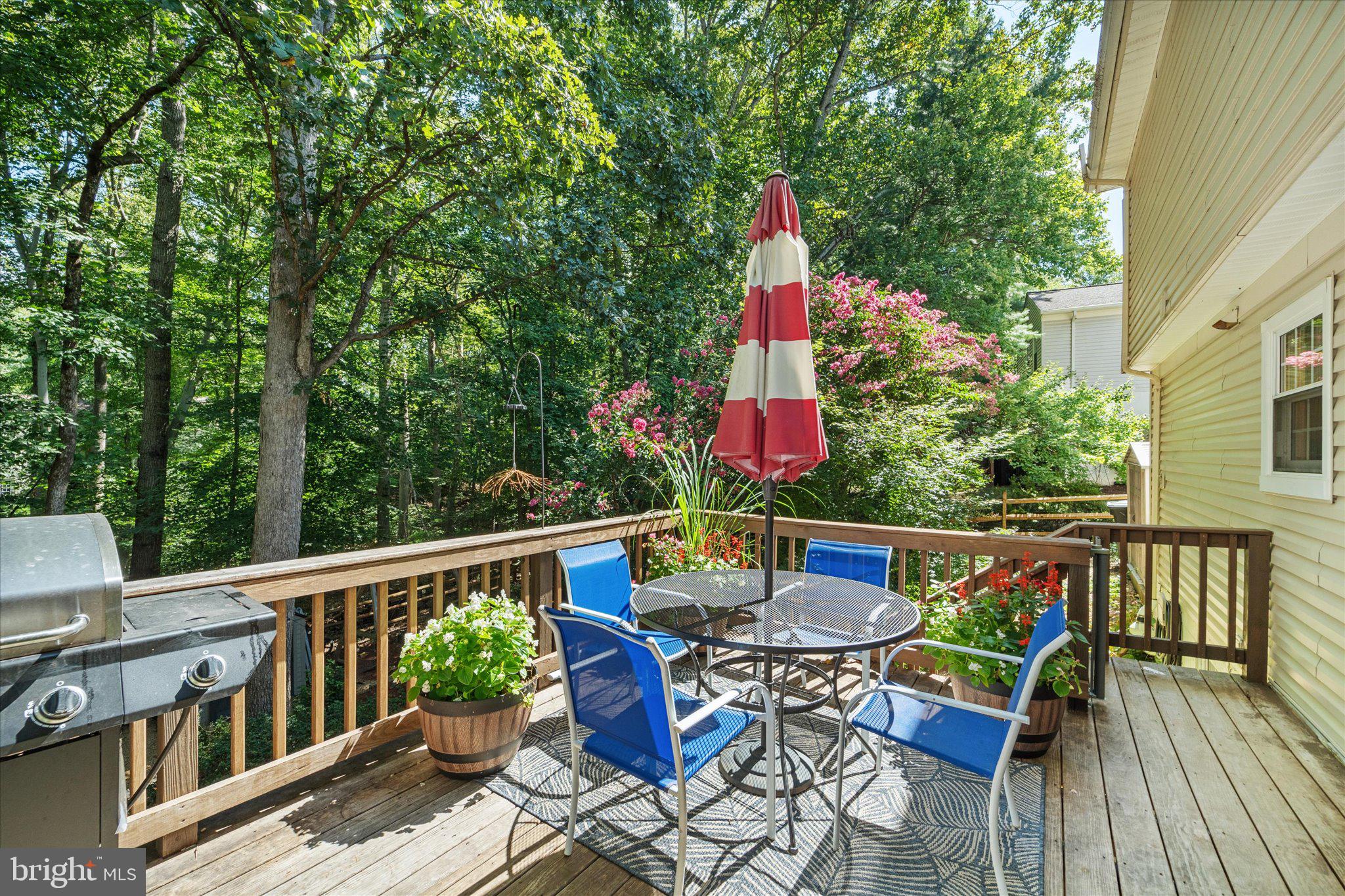 2958 Fox Tail Ct