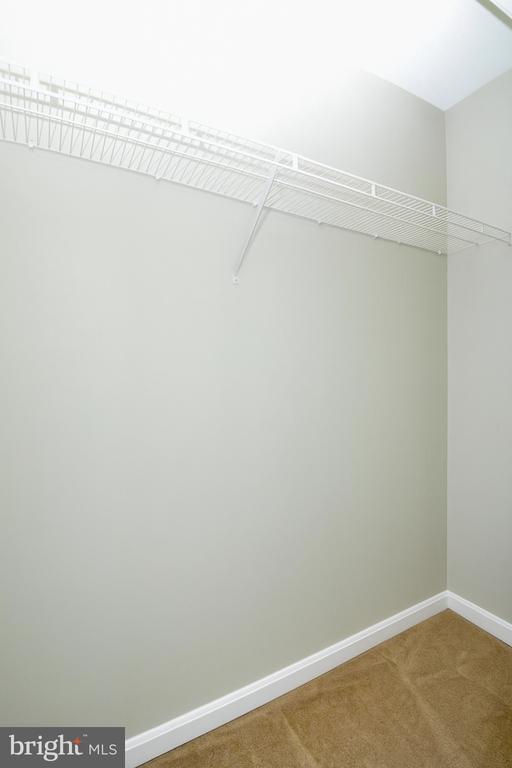 100 TORBERT LOOP