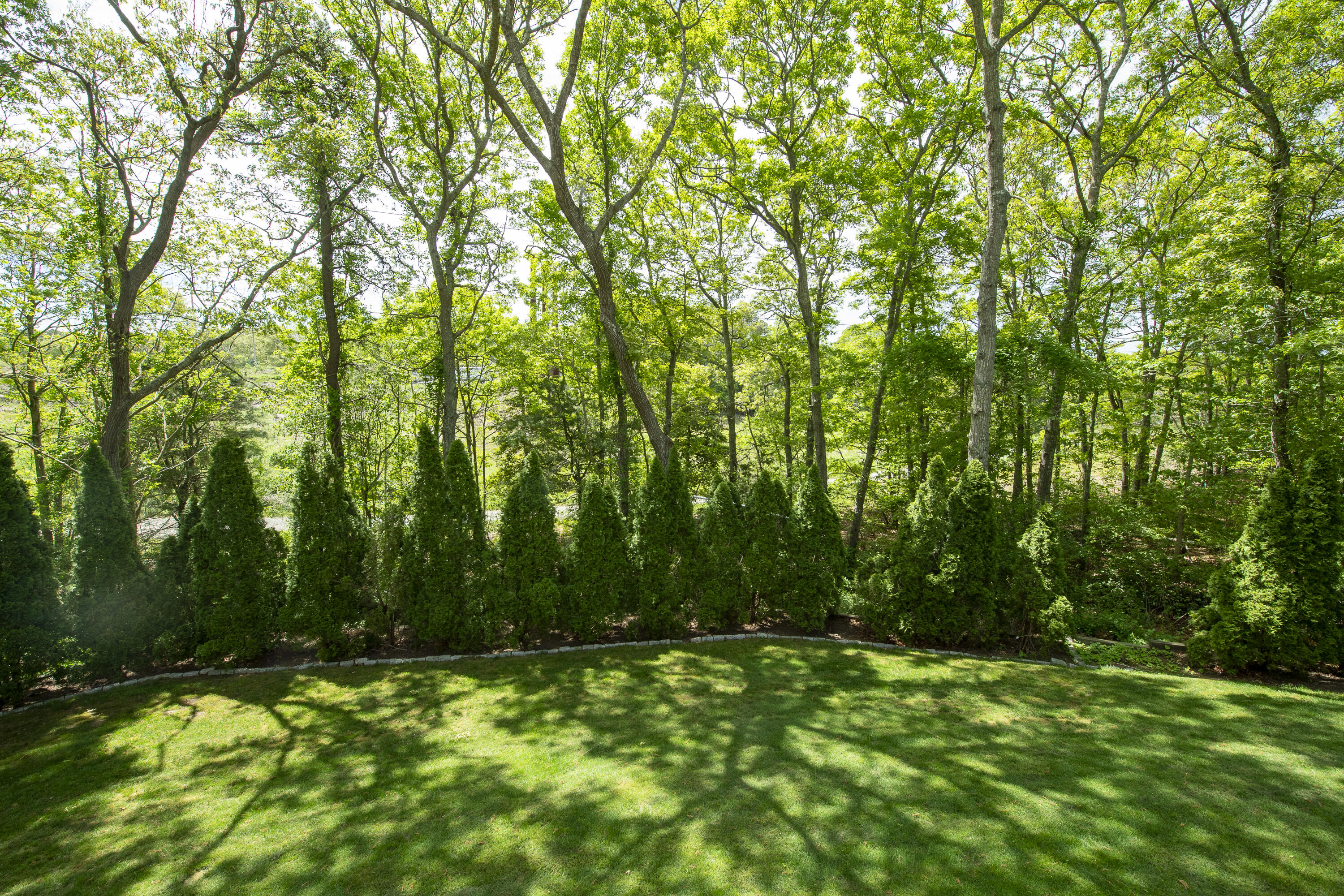 2181 Service Road