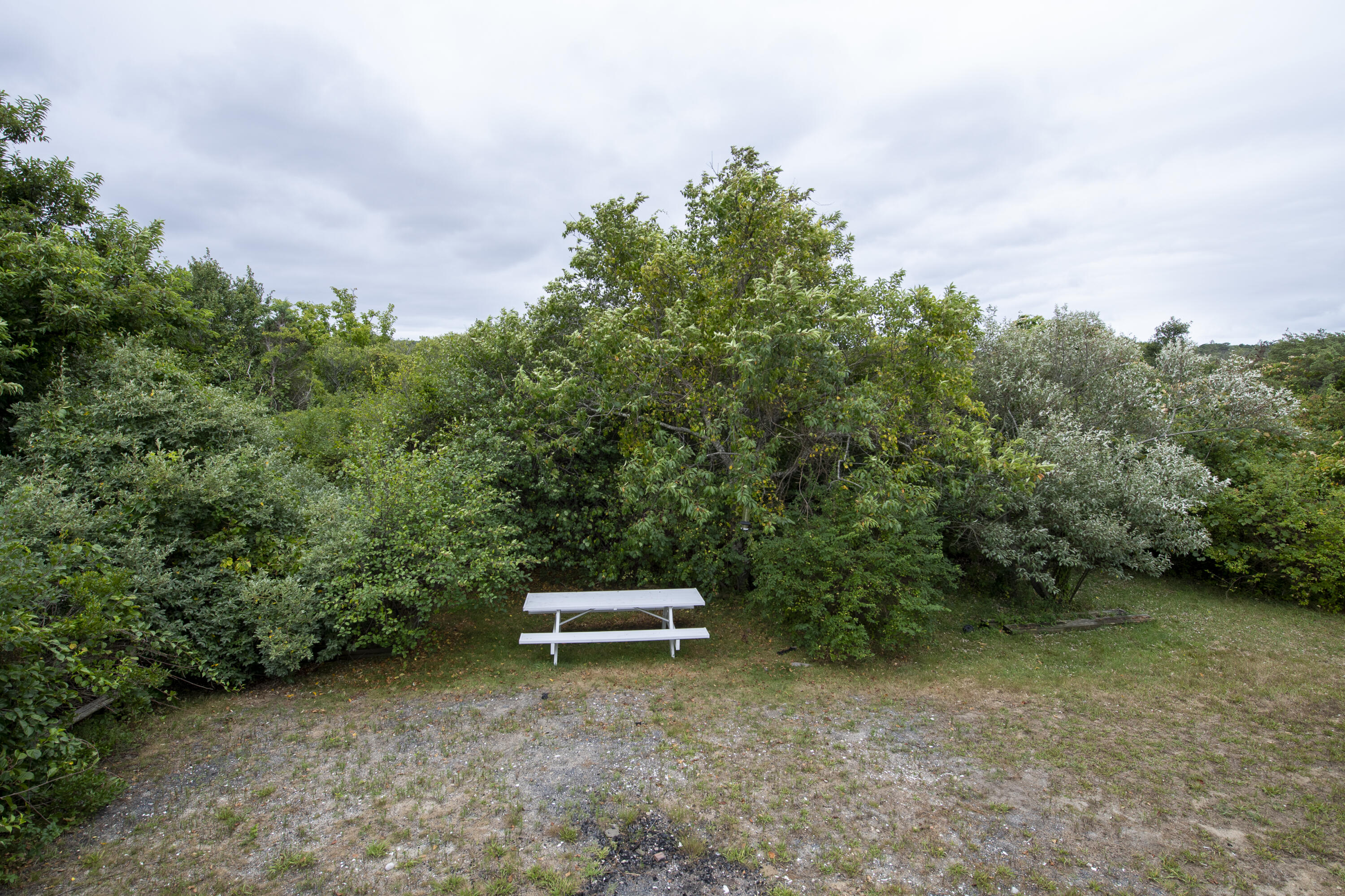 56 Shore Boulevard