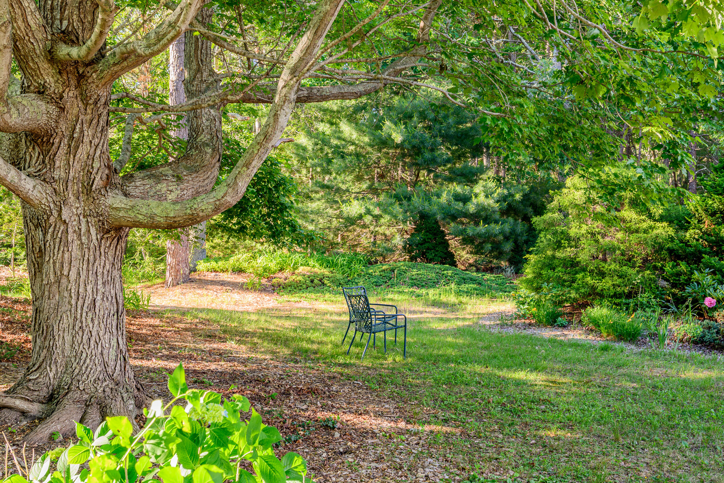 272 Falmouth Woods Road