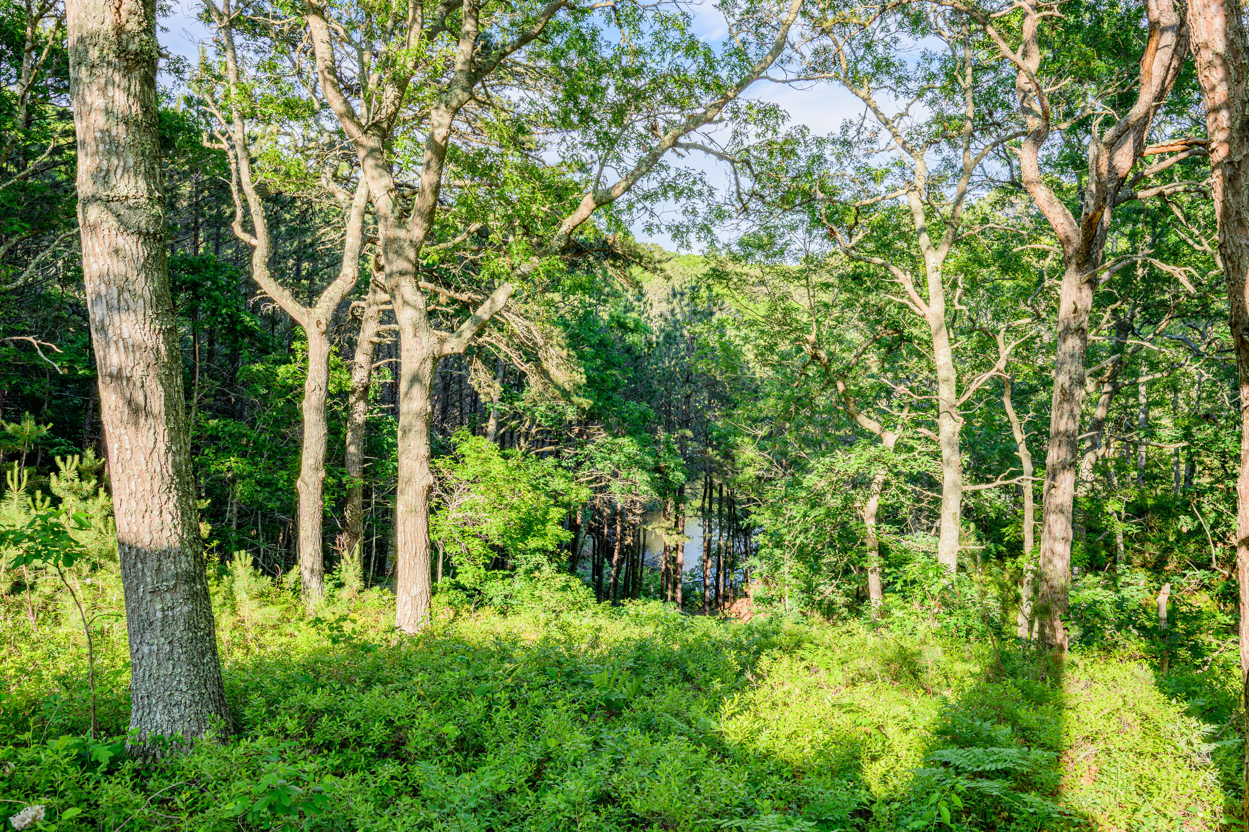 272 Falmouth Woods Road