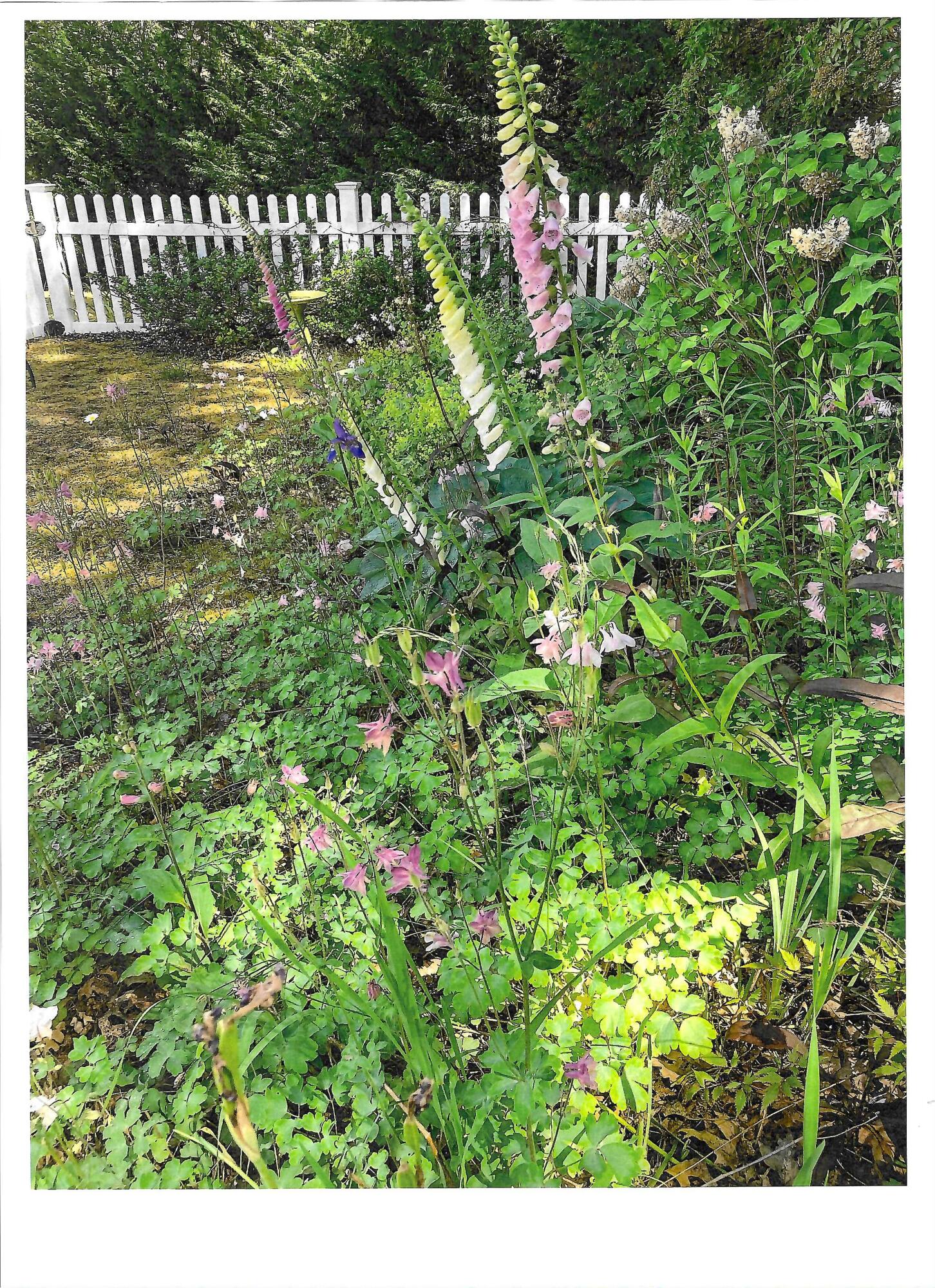 272 Falmouth Woods Road