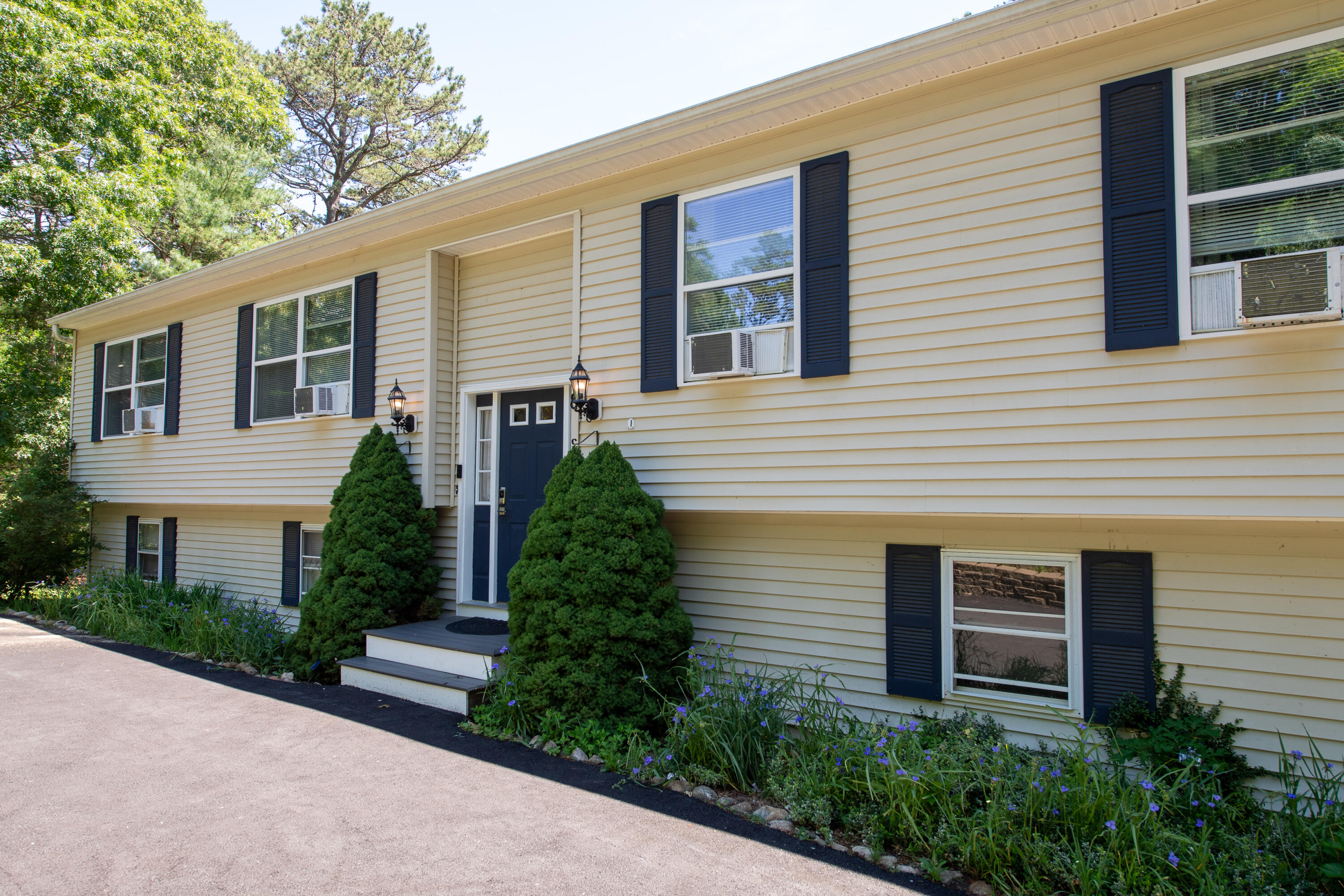 8 Raccoon Lane