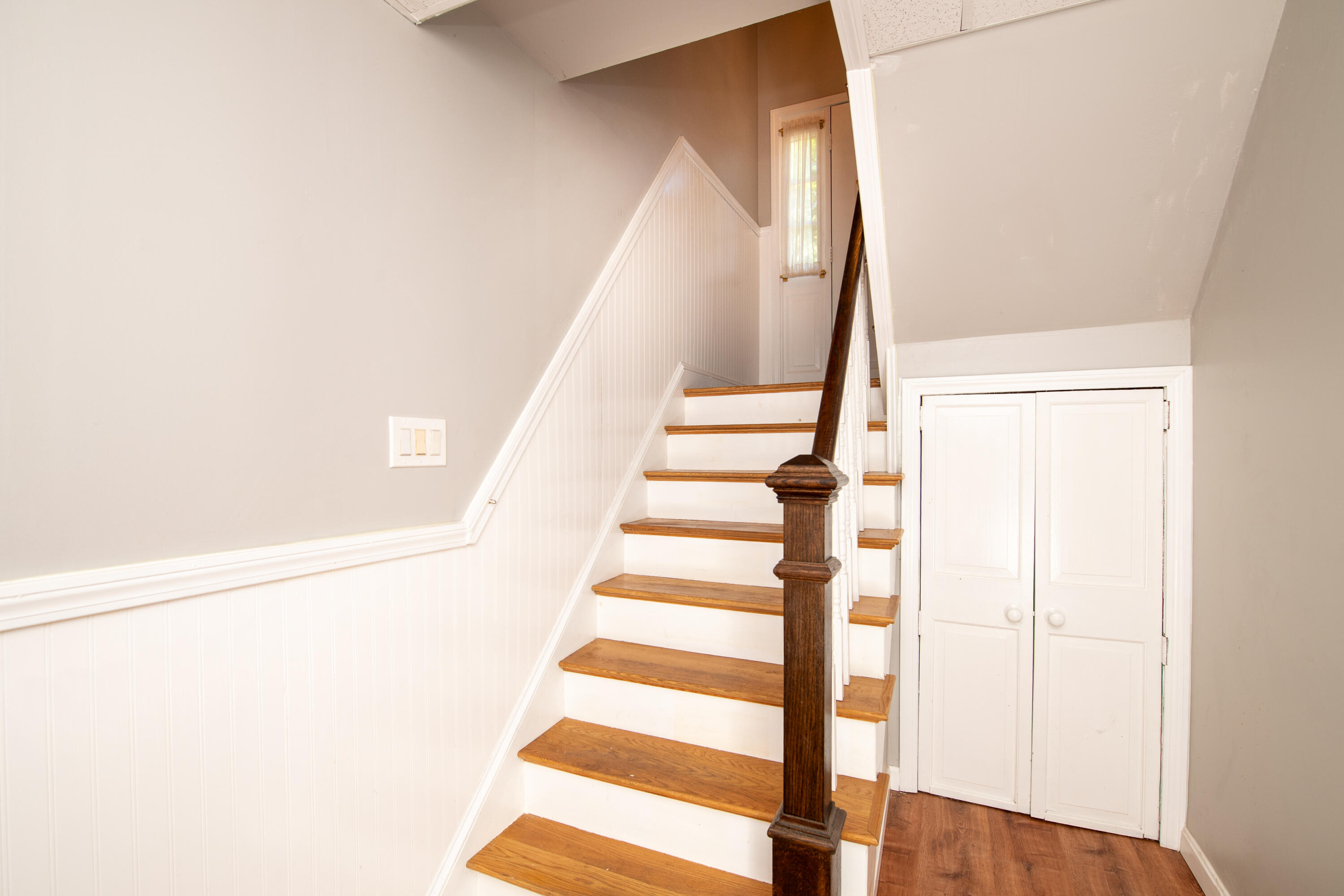 8 Raccoon Lane