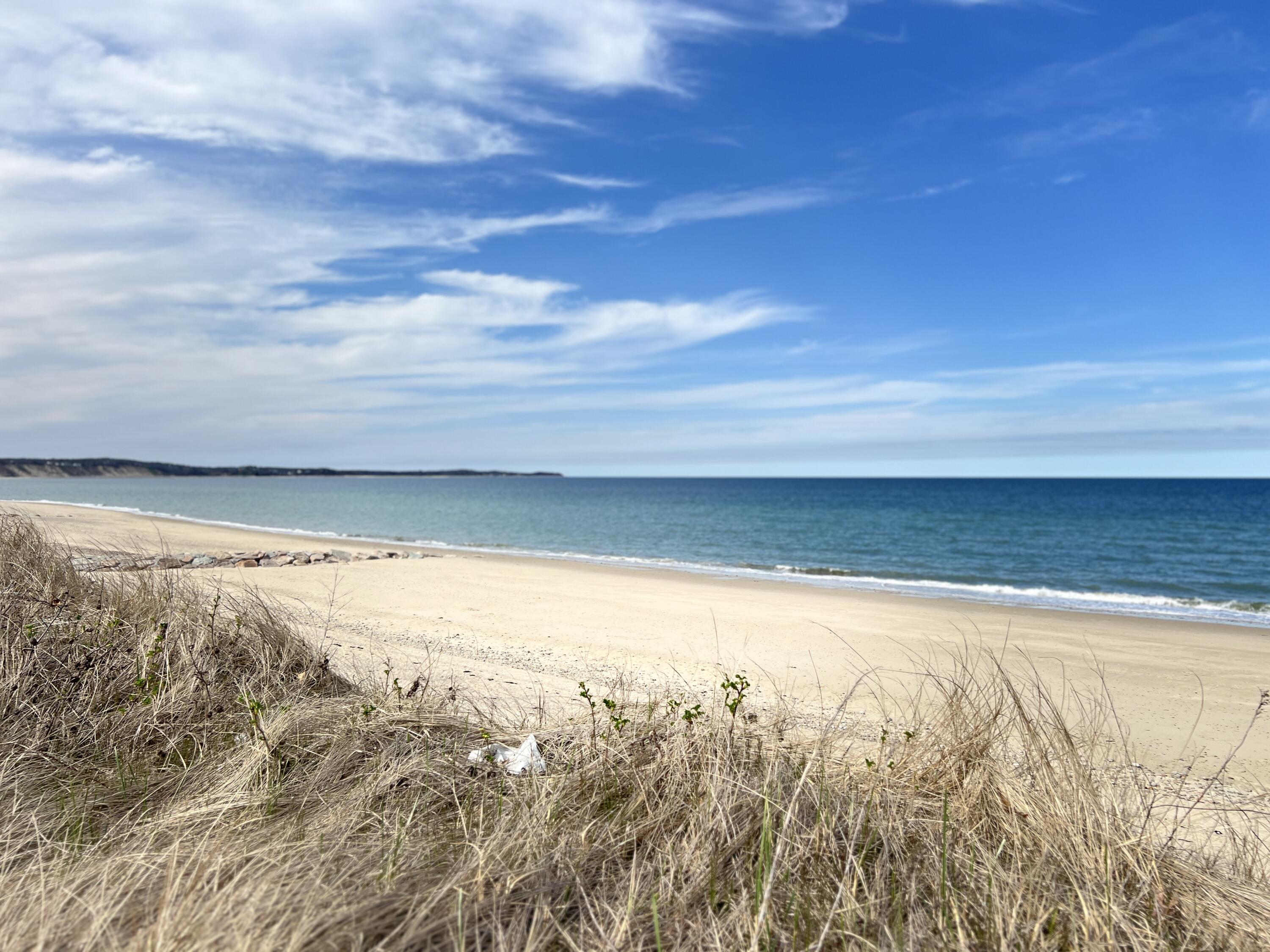 Sandy beach and blue ocean beyond dry dune grass under a partly cloudy sky.