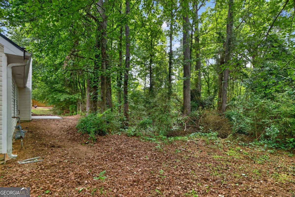 311 Magnolia Lane