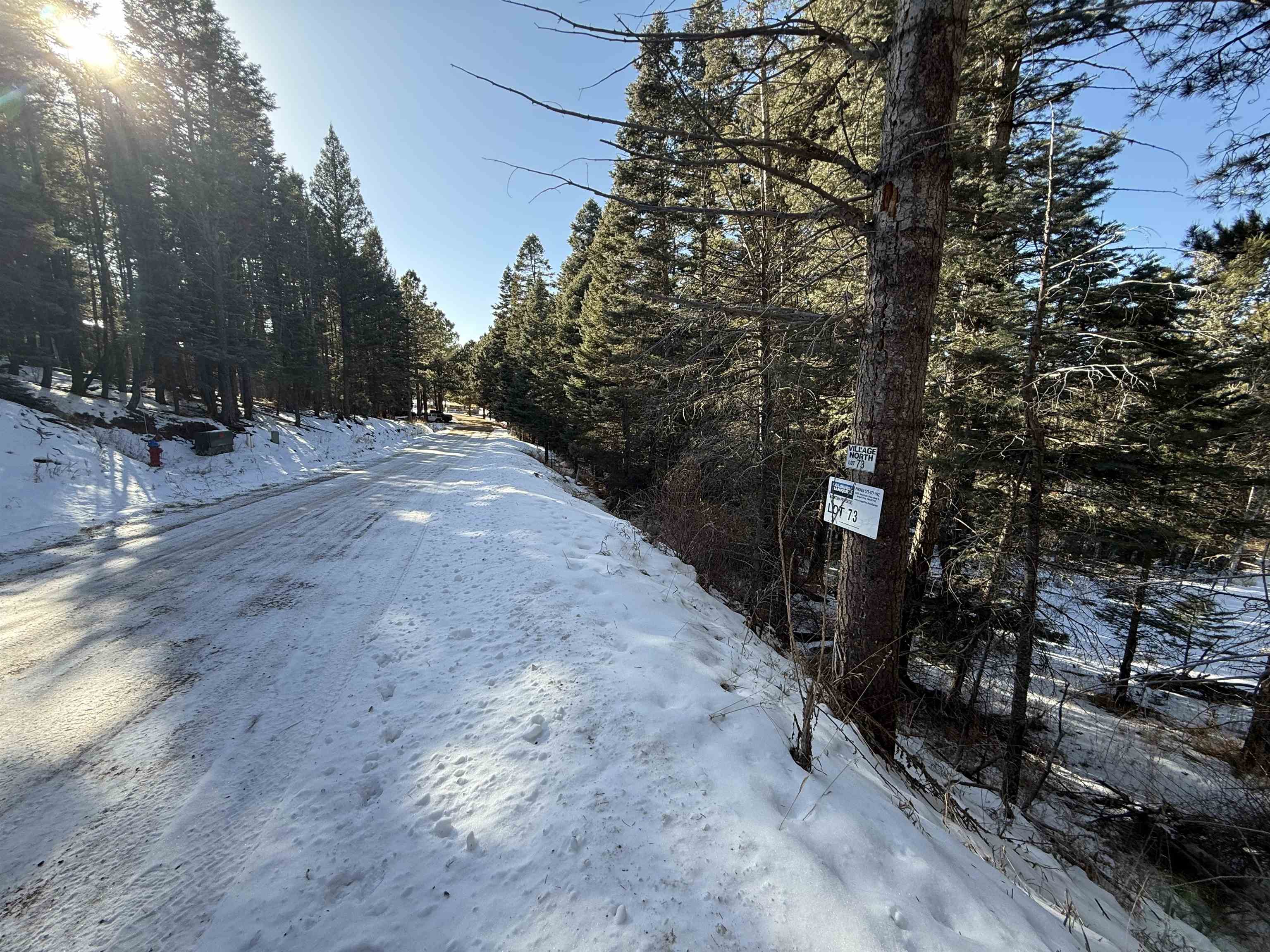 Lot 73 Mammoth Mountain Road