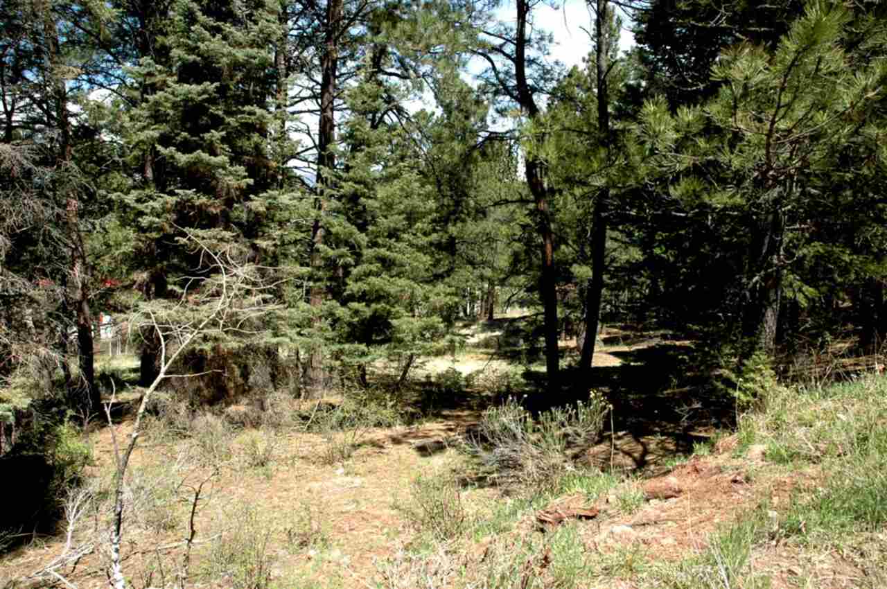 Lot 73 Mammoth Mountain Road