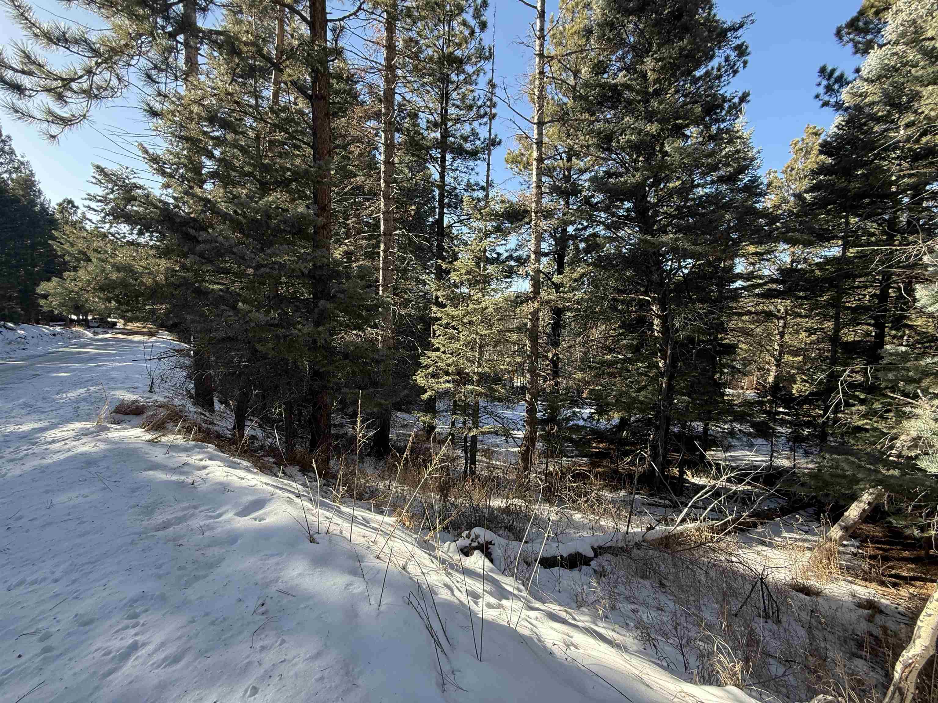 Lot 73 Mammoth Mountain Road