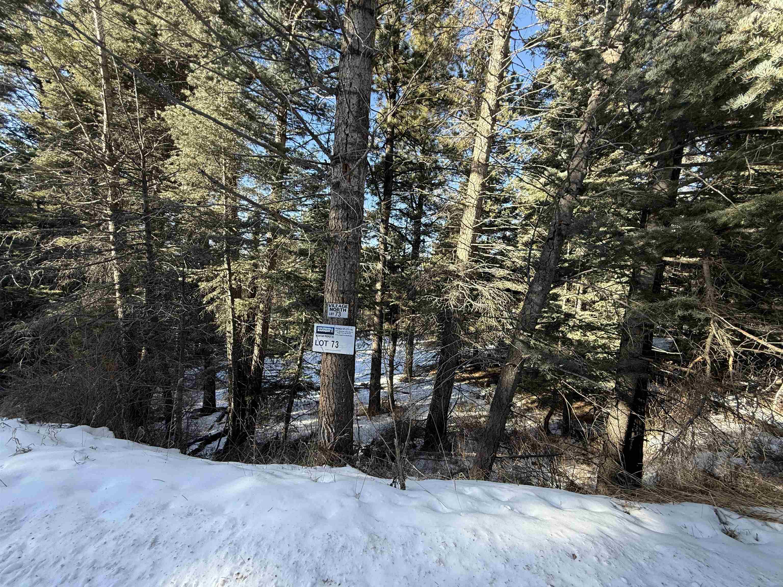 Lot 73 Mammoth Mountain Road