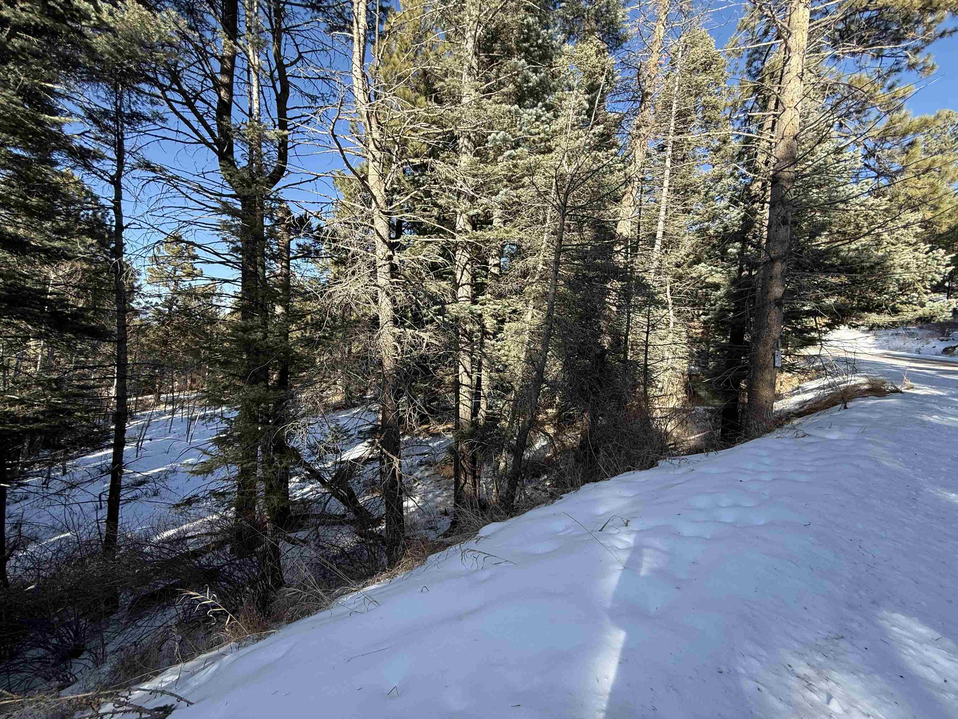 Lot 73 Mammoth Mountain Road