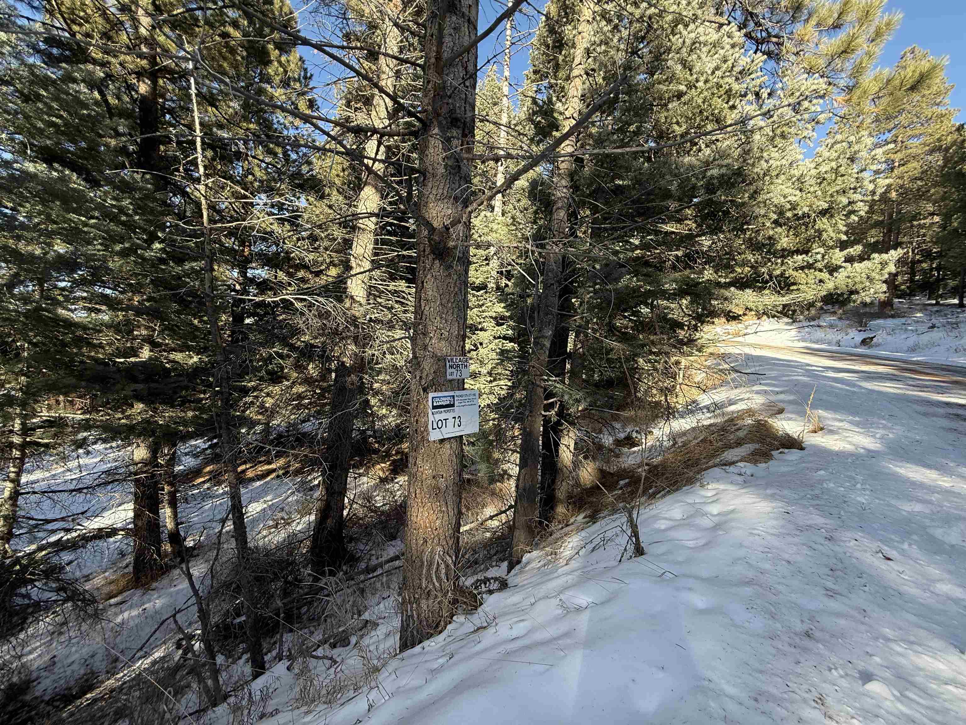 Lot 73 Mammoth Mountain Road