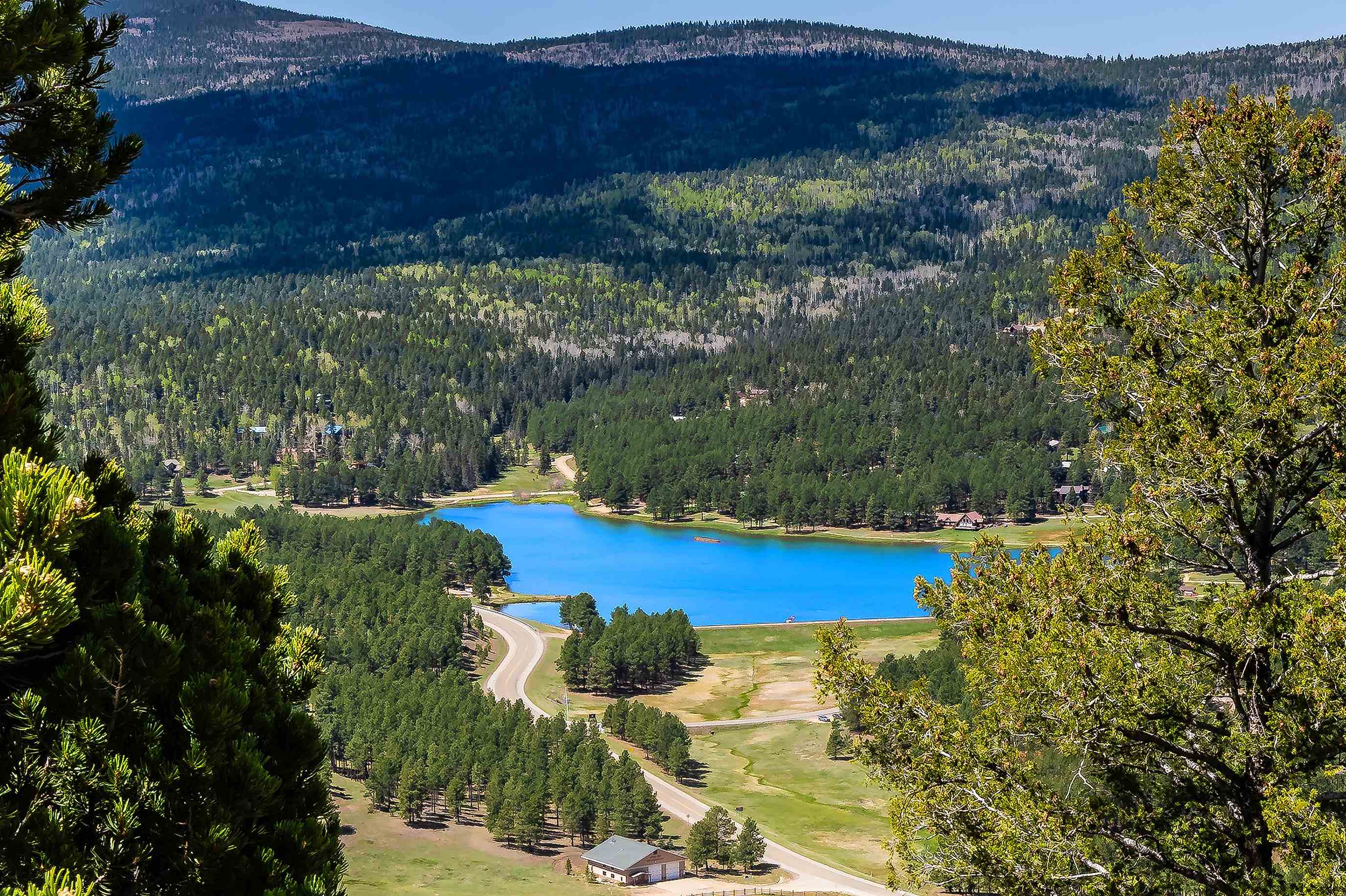 118 Vail Loop