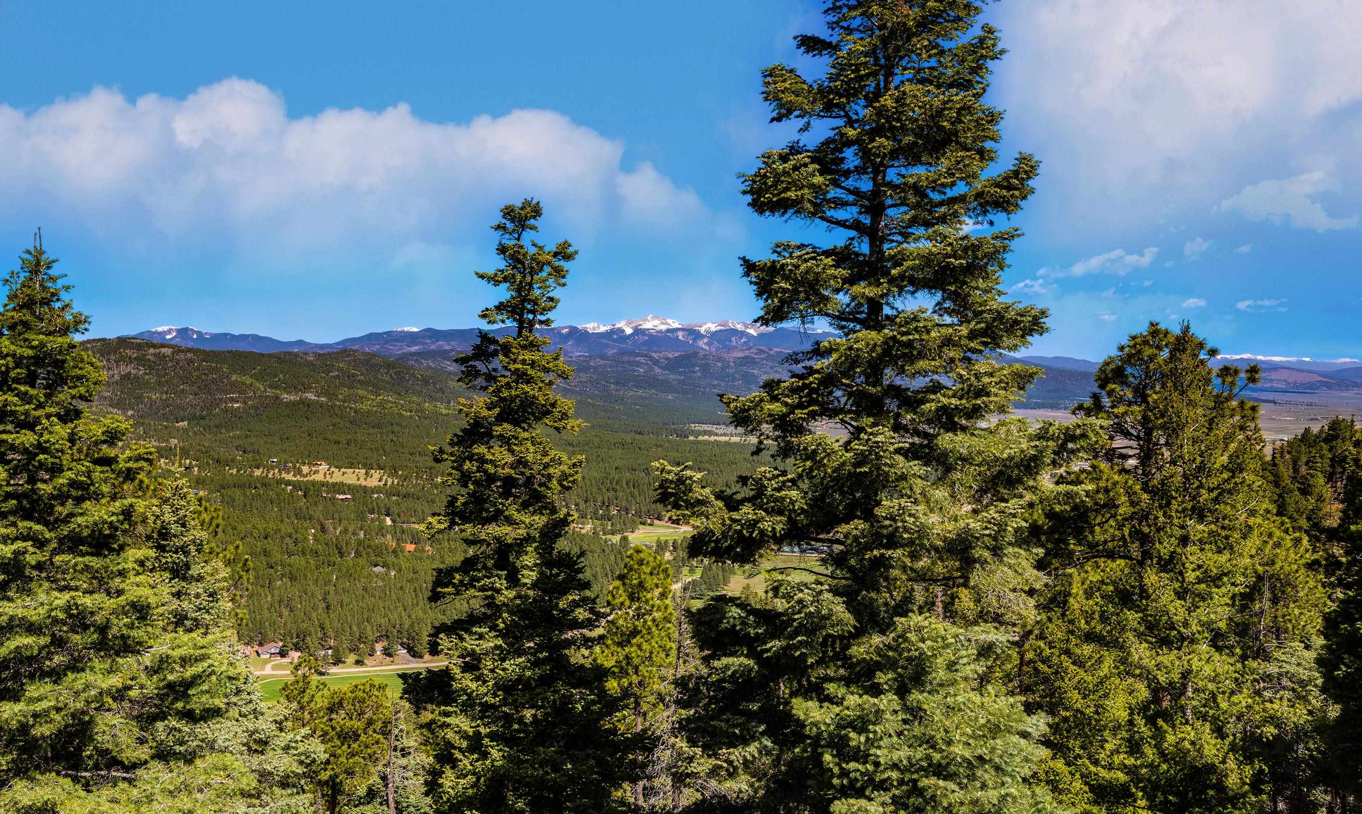 118 Vail Loop