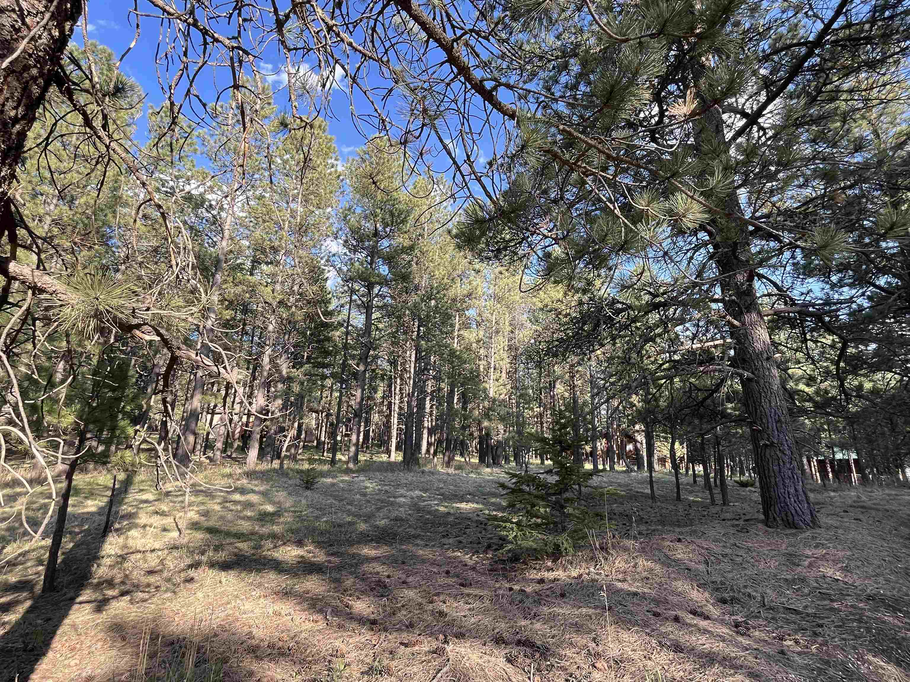 Lot 8 Pine Valley Dr