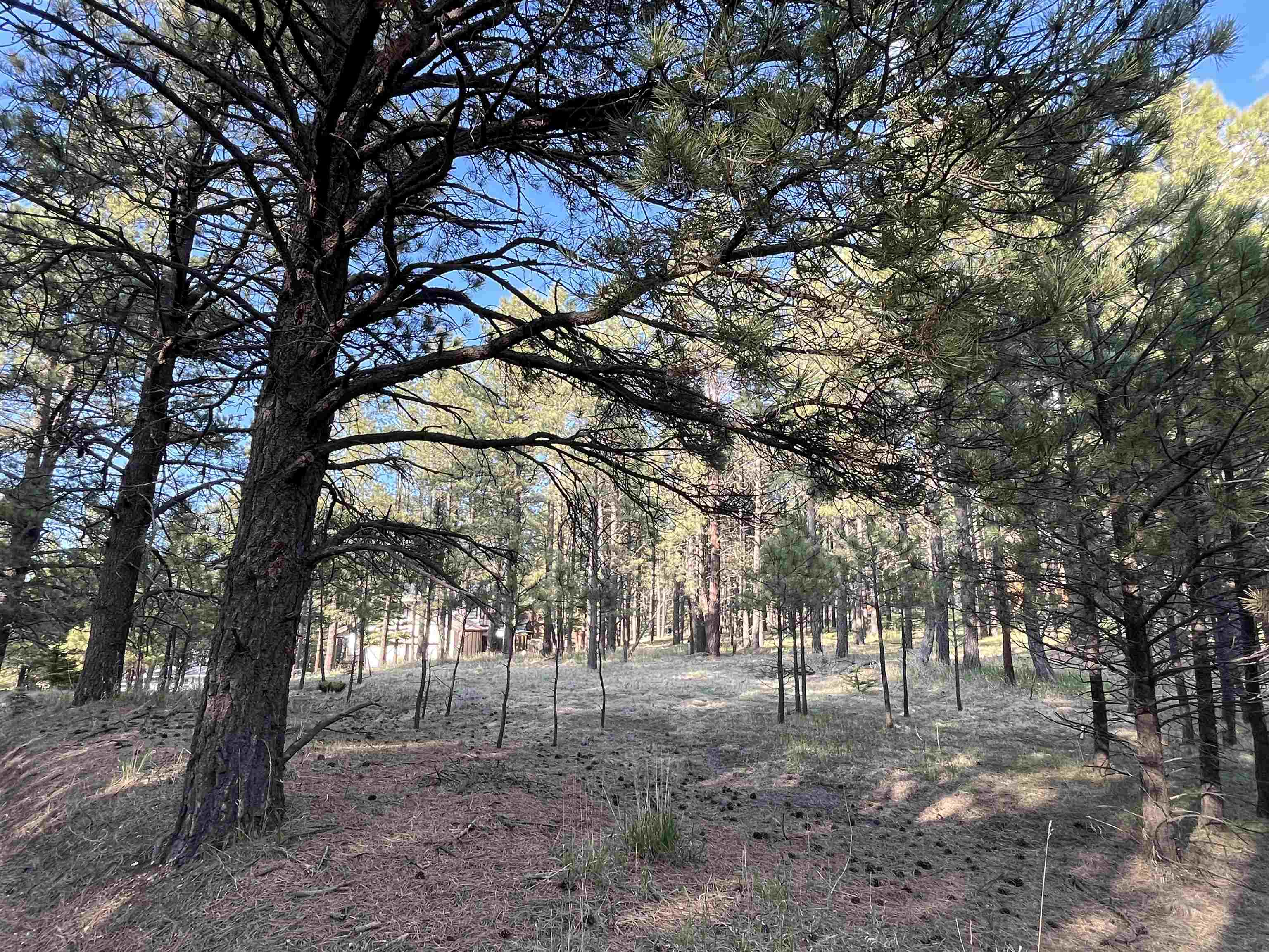 Lot 8 Pine Valley Dr
