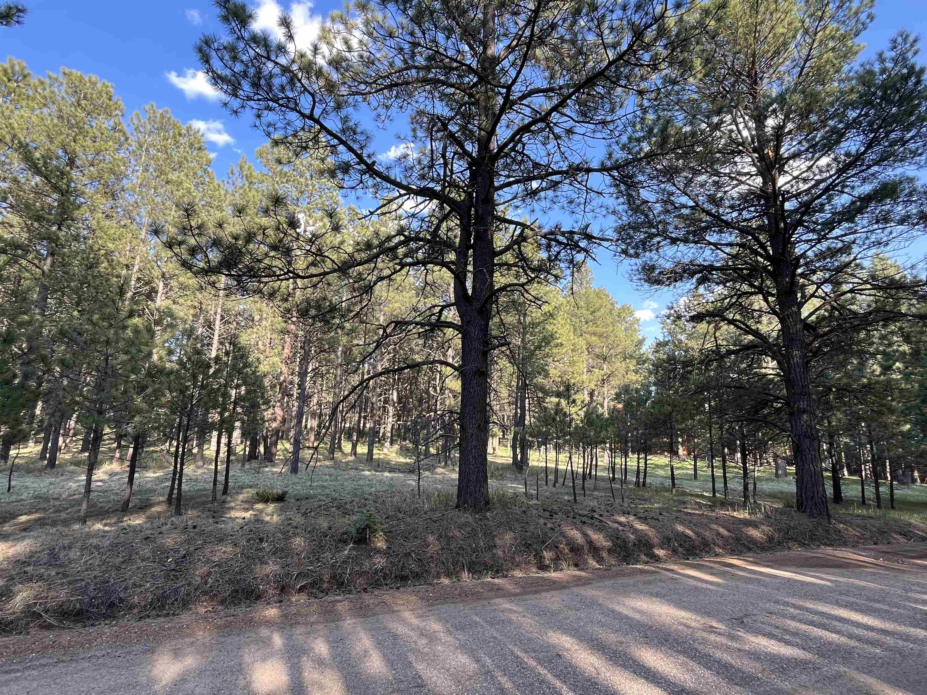 Lot 8 Pine Valley Dr