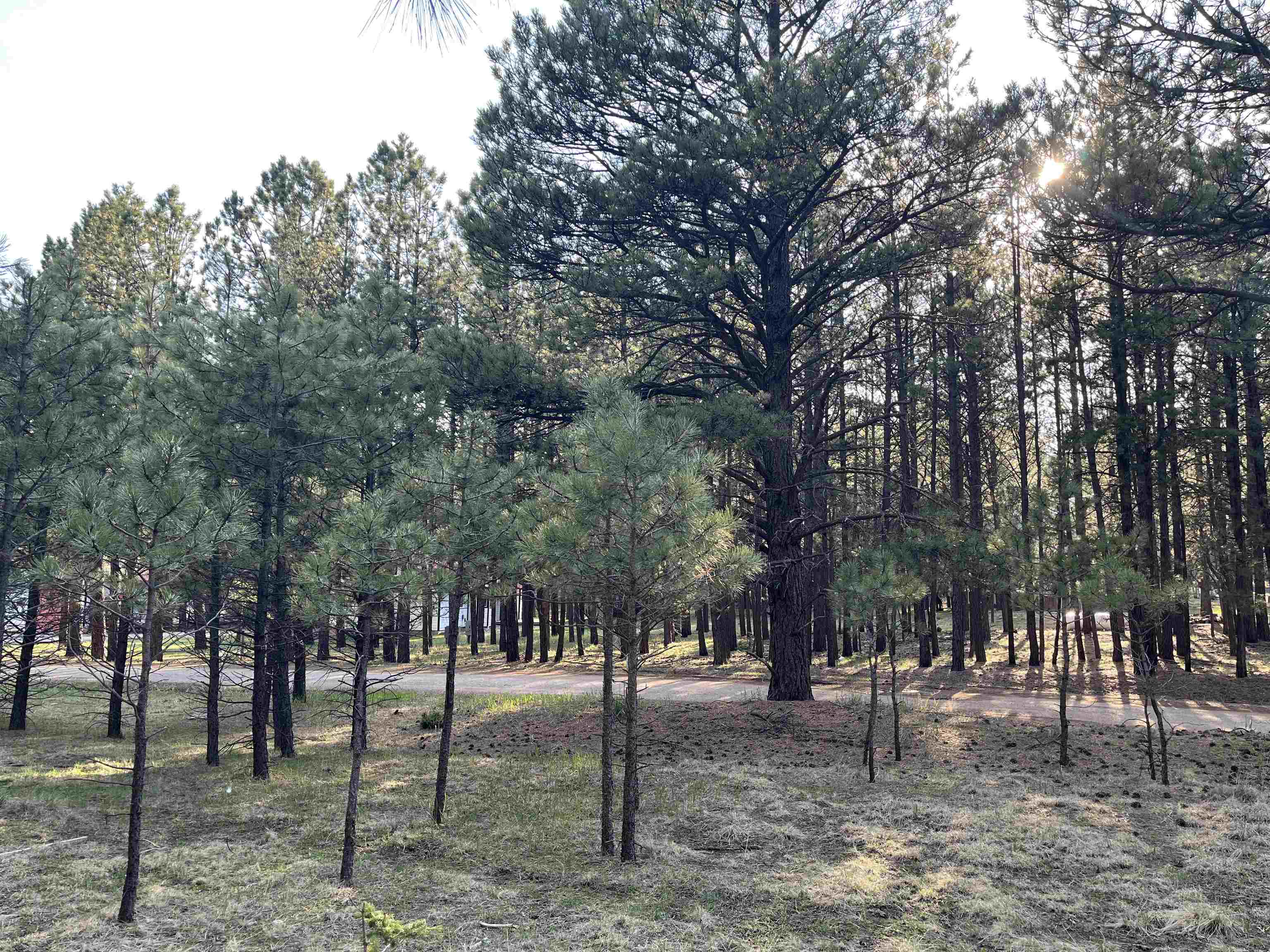 Lot 8 Pine Valley Dr