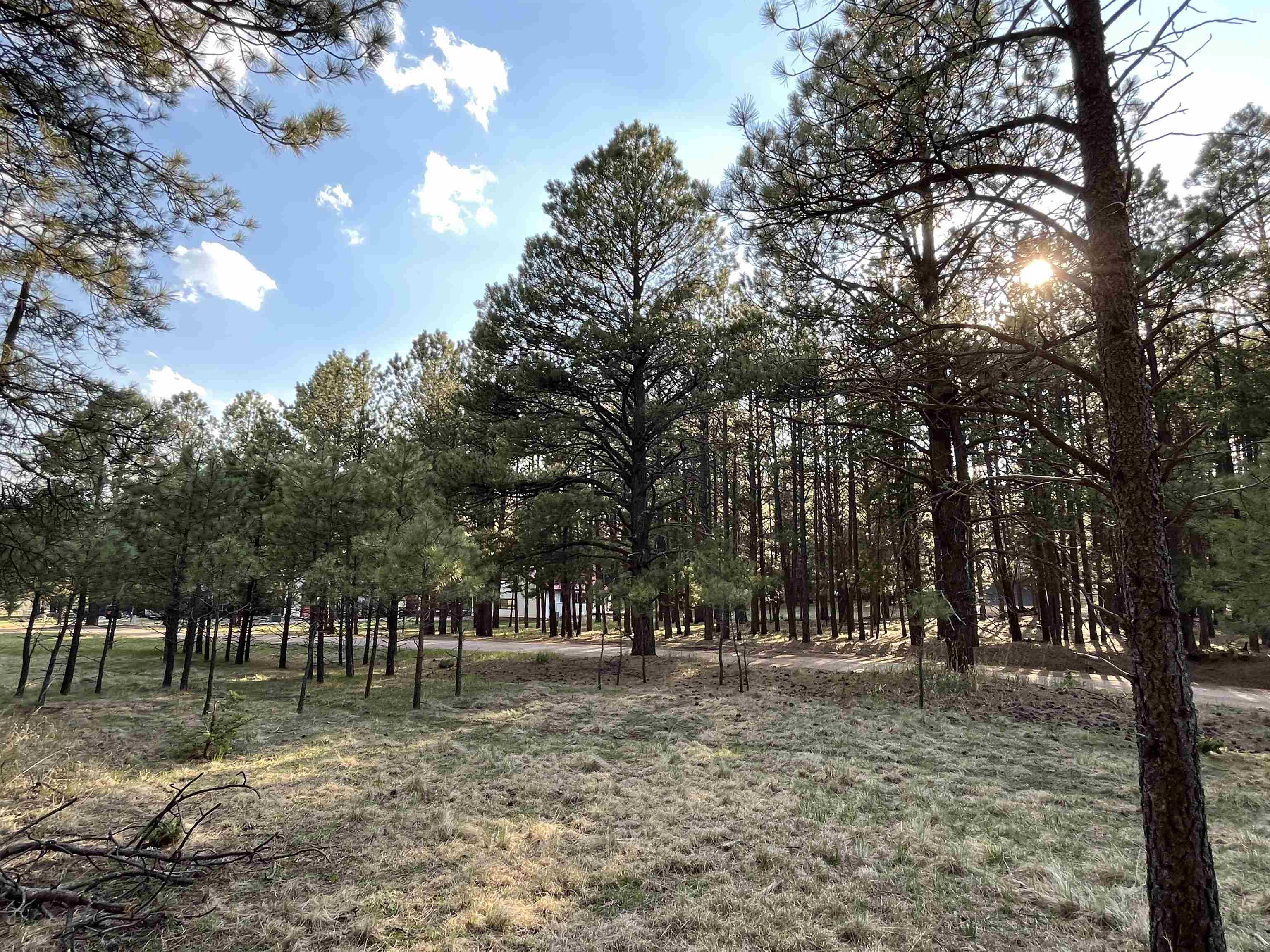 Lot 8 Pine Valley Dr