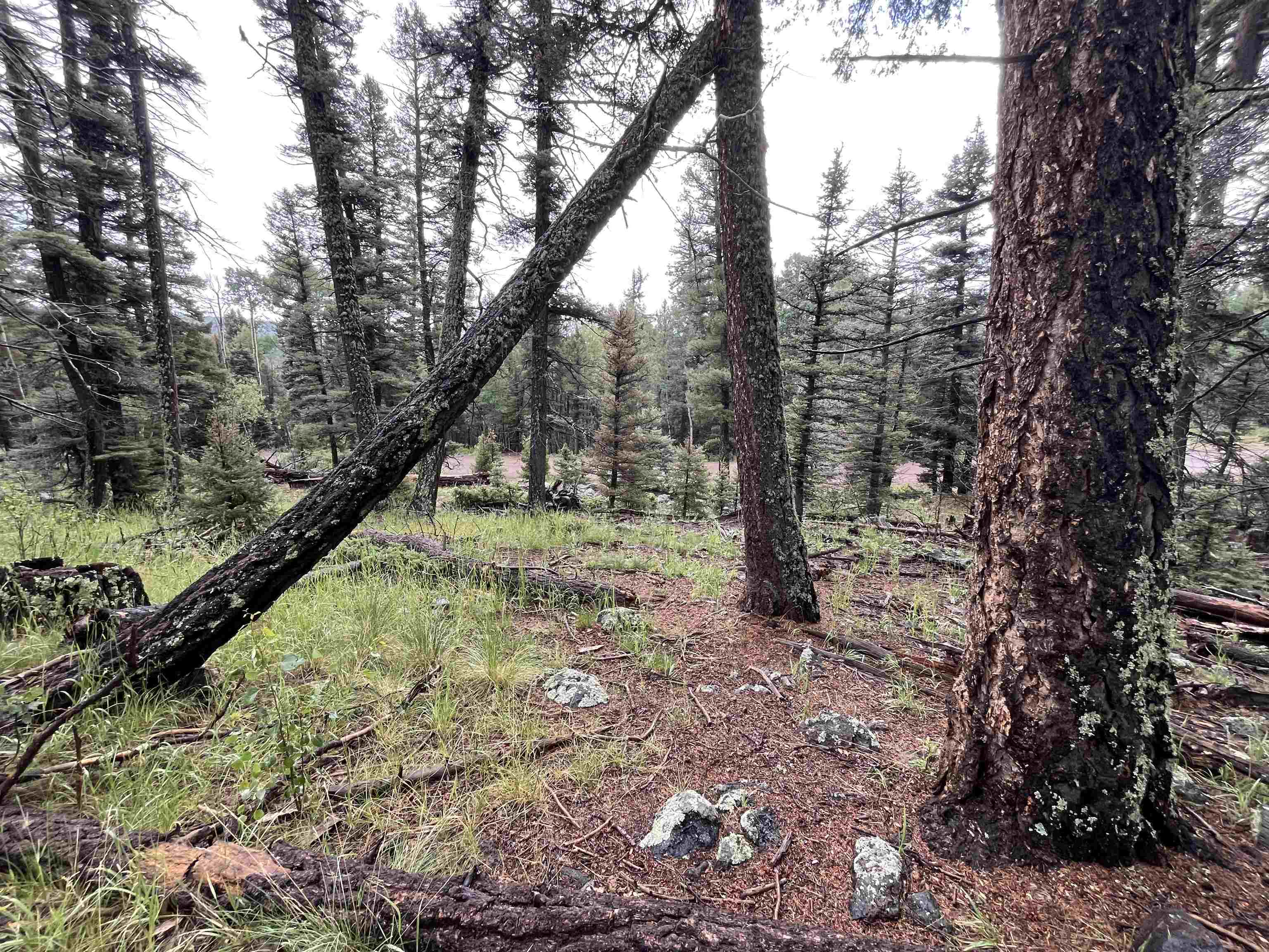 Lot 1498 Vista Del Sur