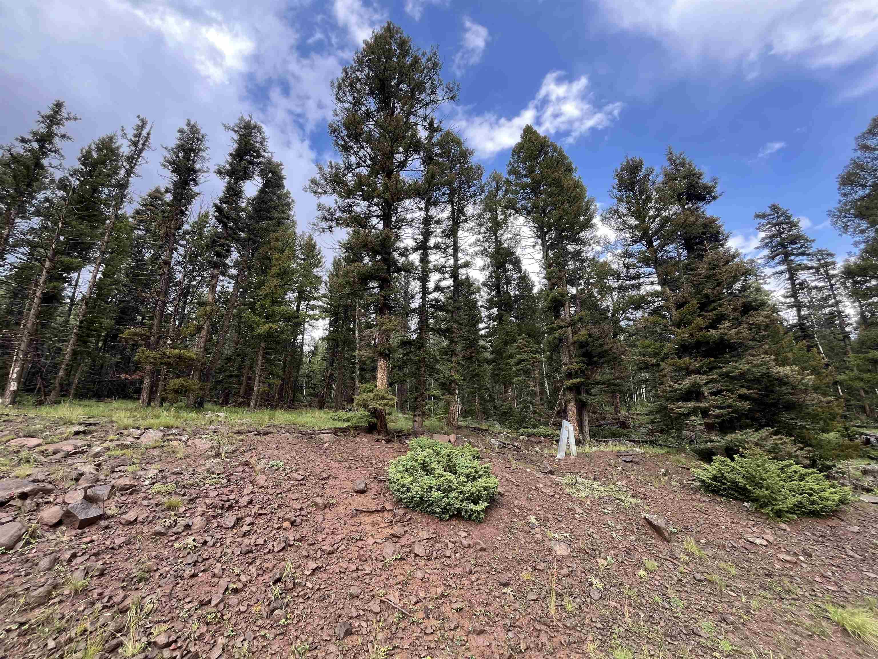 Lot 1498 Vista Del Sur