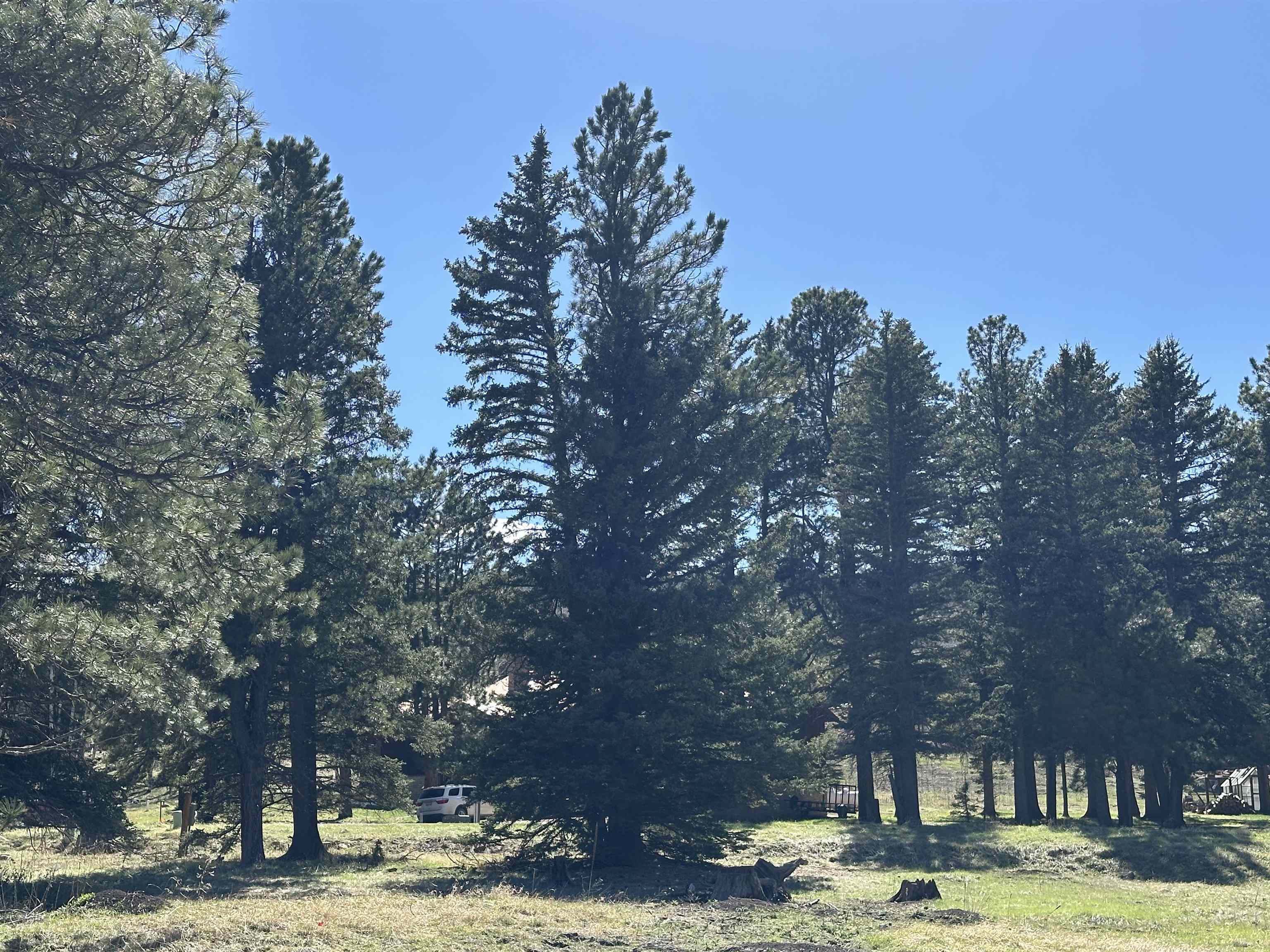 Pleasant Valley Pl