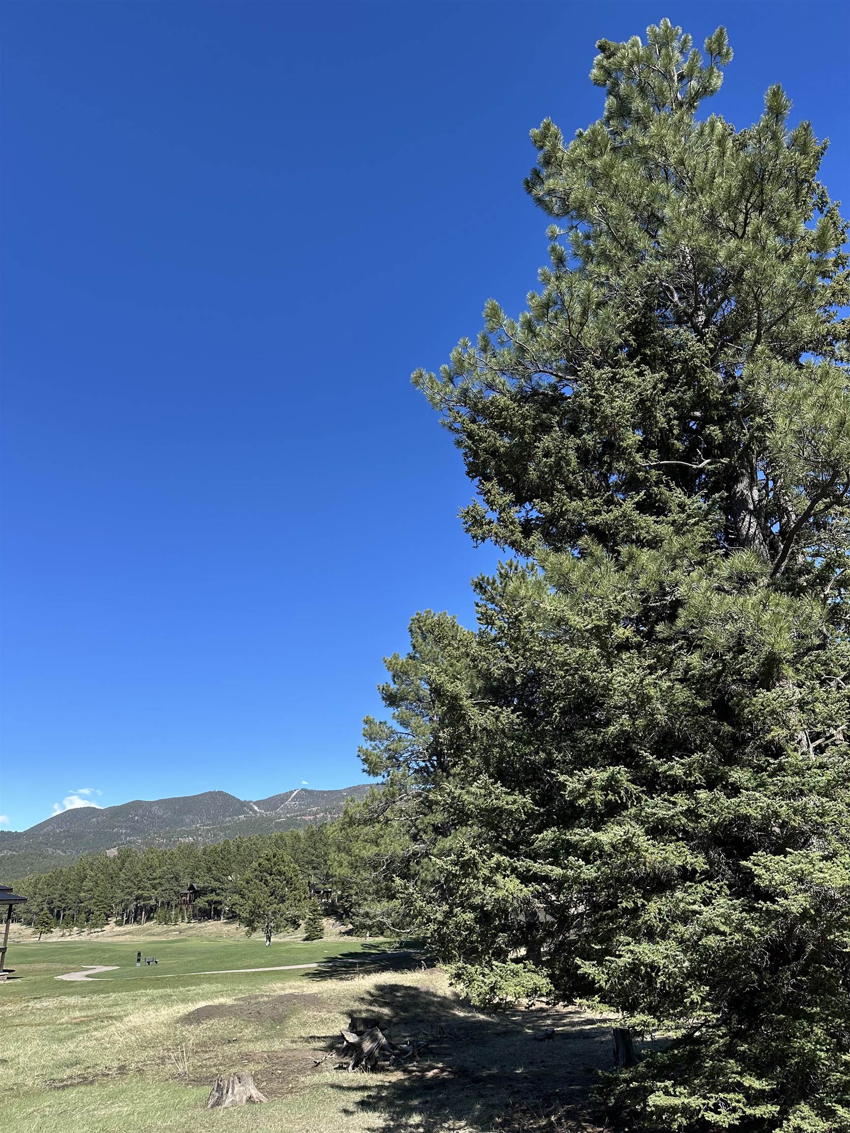 Pleasant Valley Pl