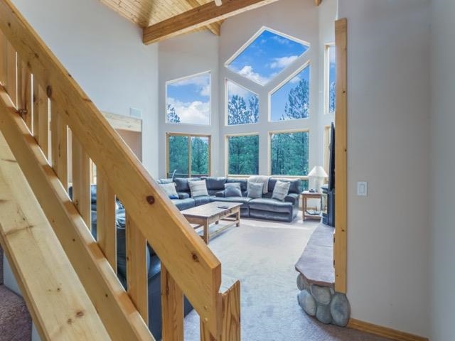 47 Woodlands Dr