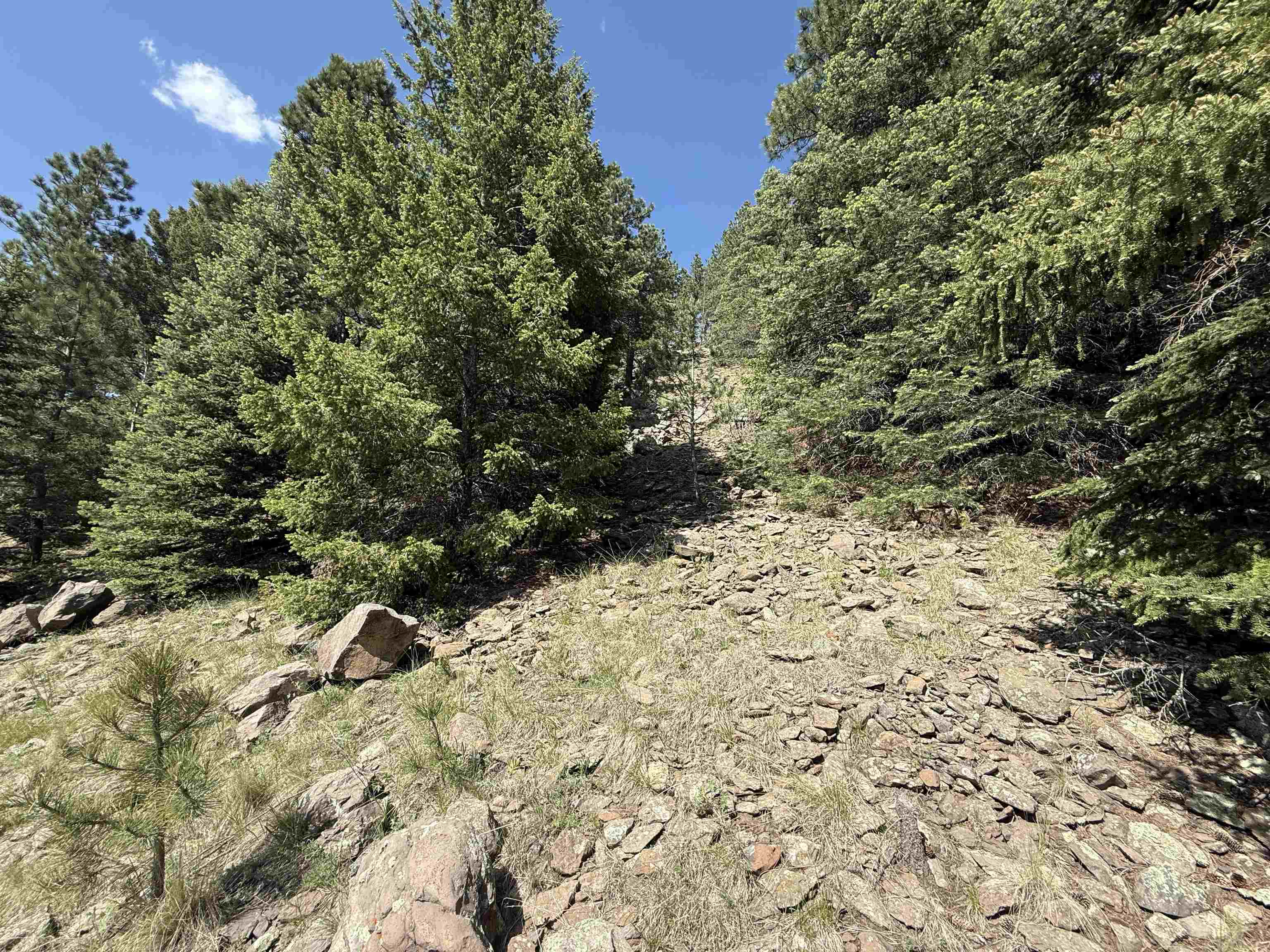 Lot 26 Resort Road 2