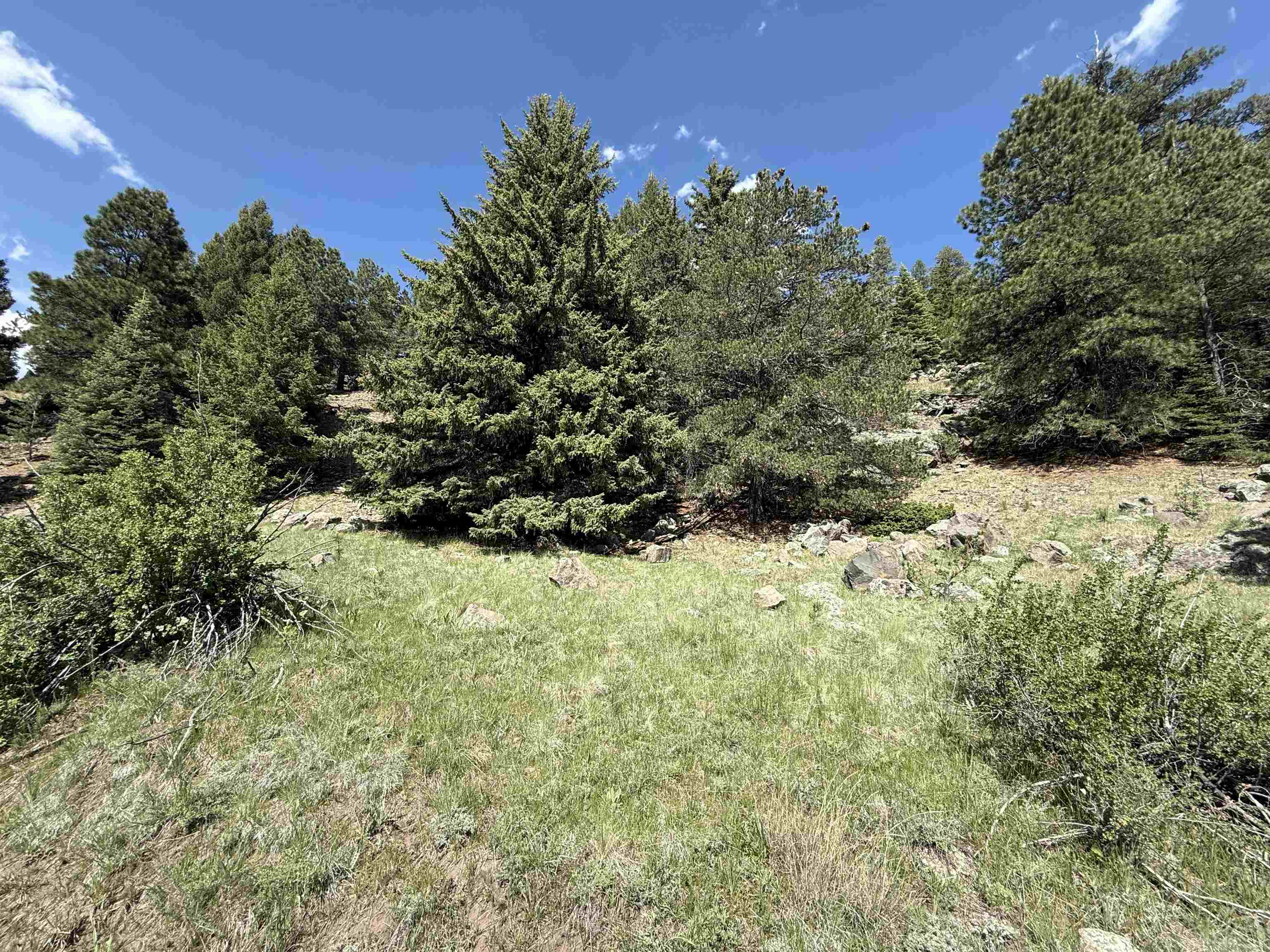 Lot 26 Resort Road 2