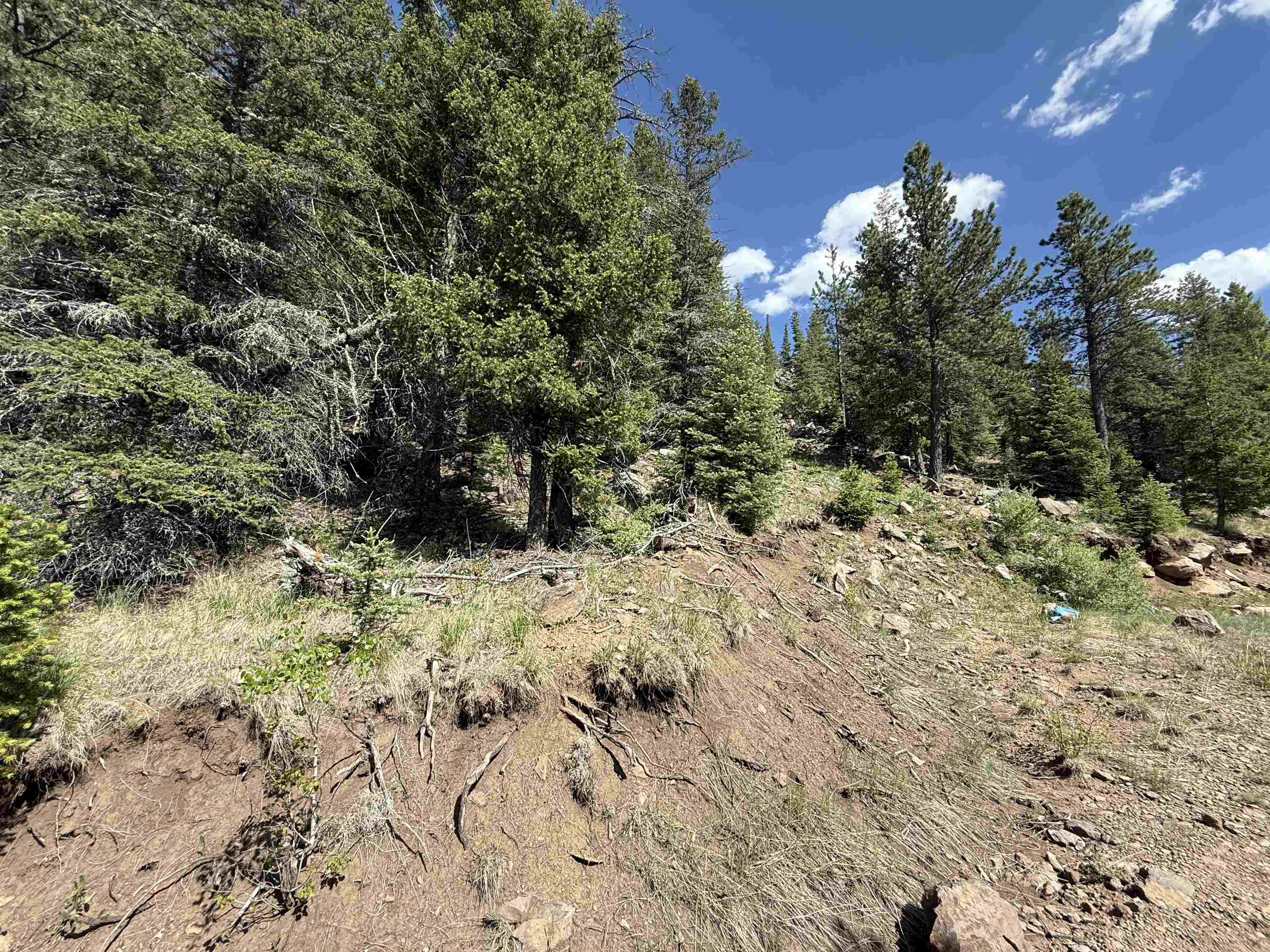 Lot 28 Resort Rd 2