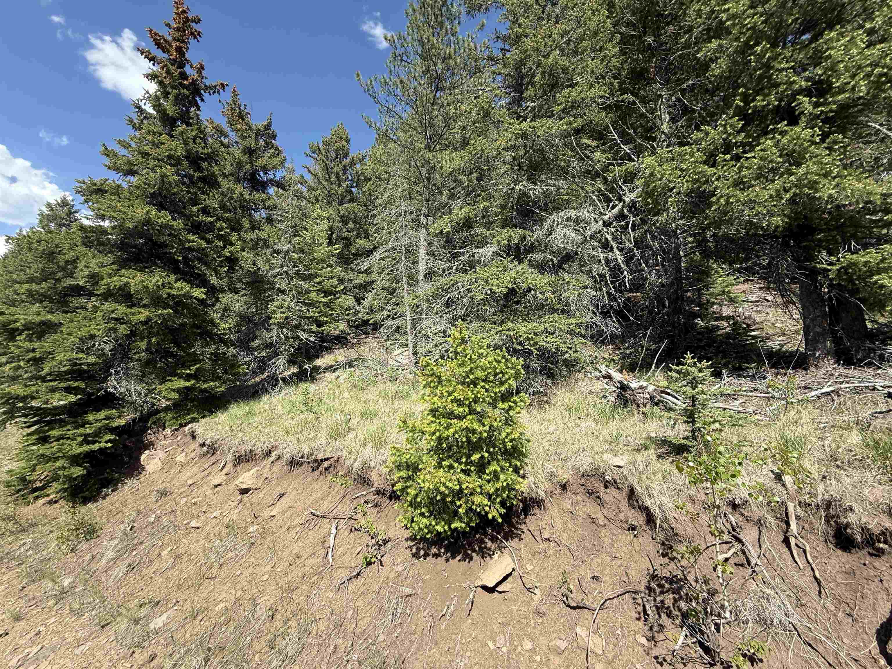 Lot 28 Resort Rd 2