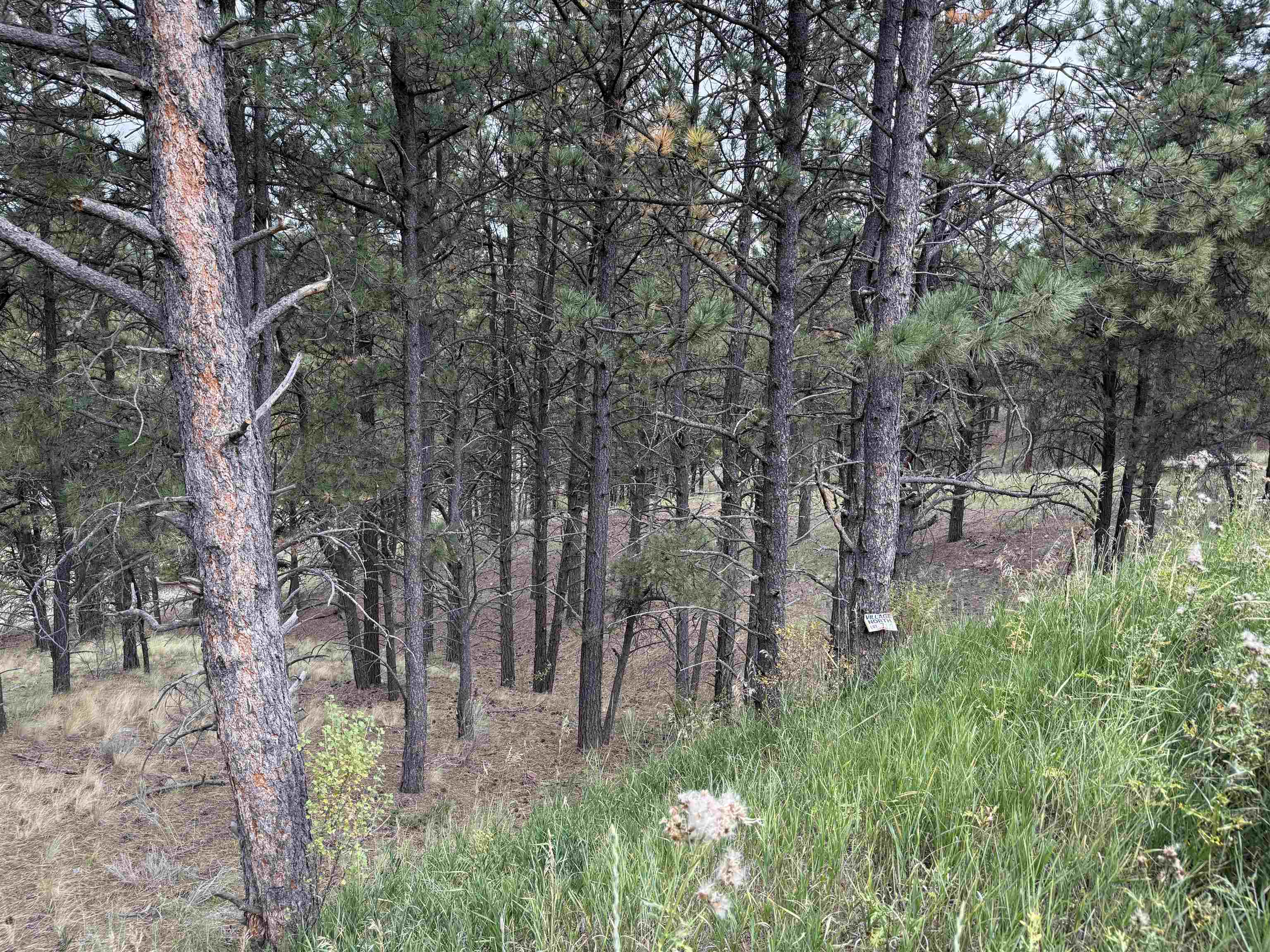 Lot 7 Valley Rd