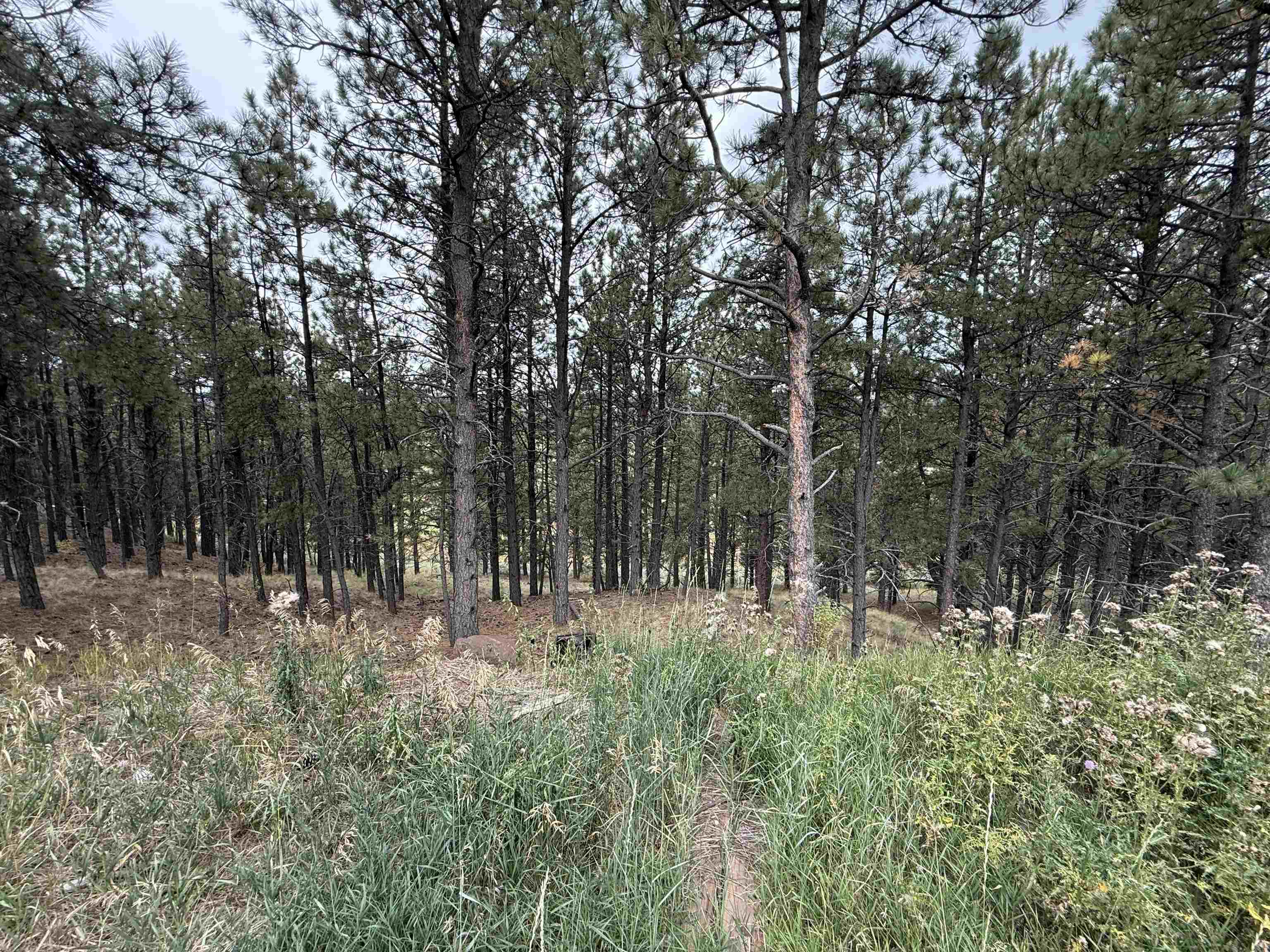 Lot 7 Valley Rd