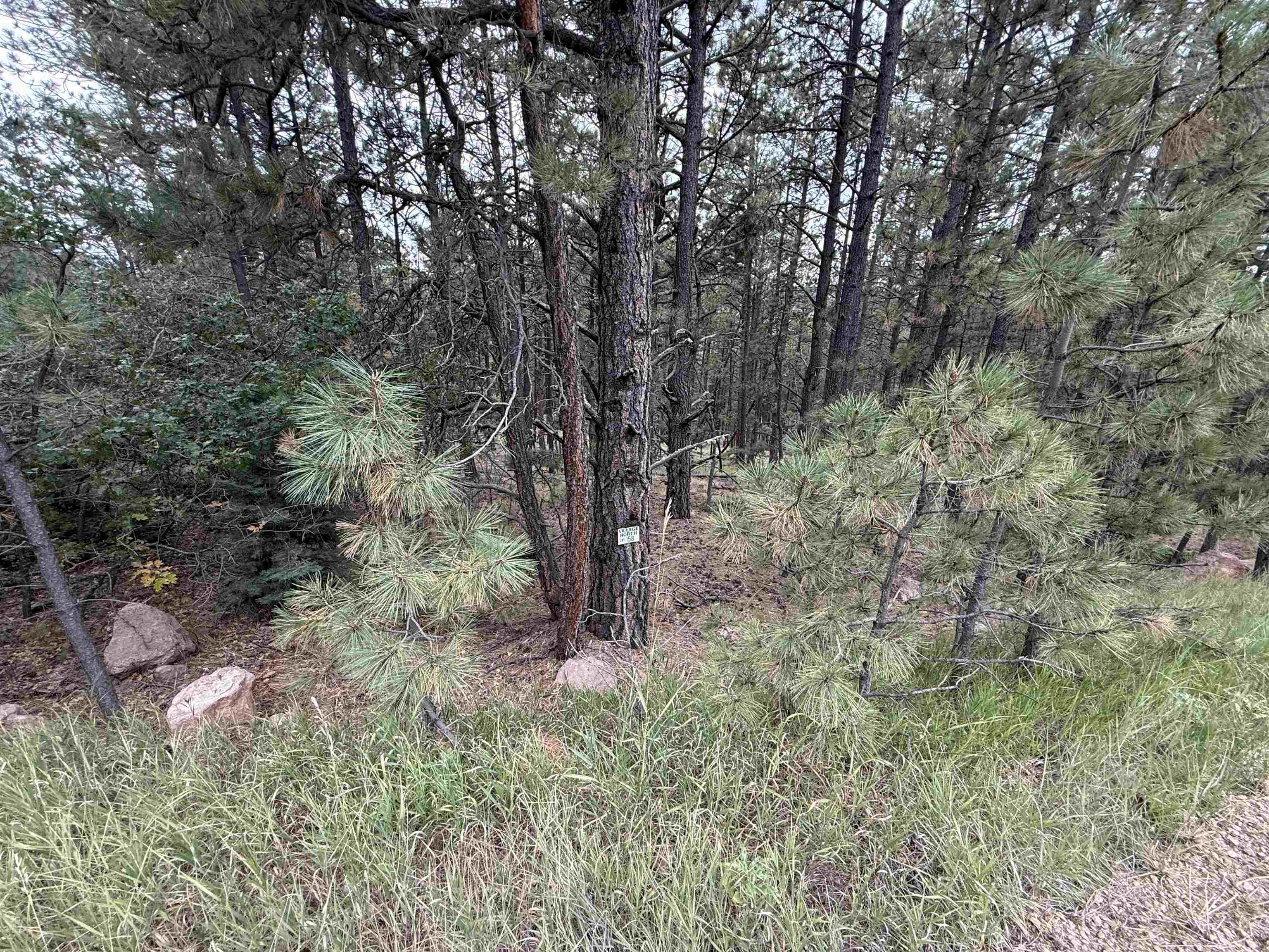 Lot 158 Aspen Pl