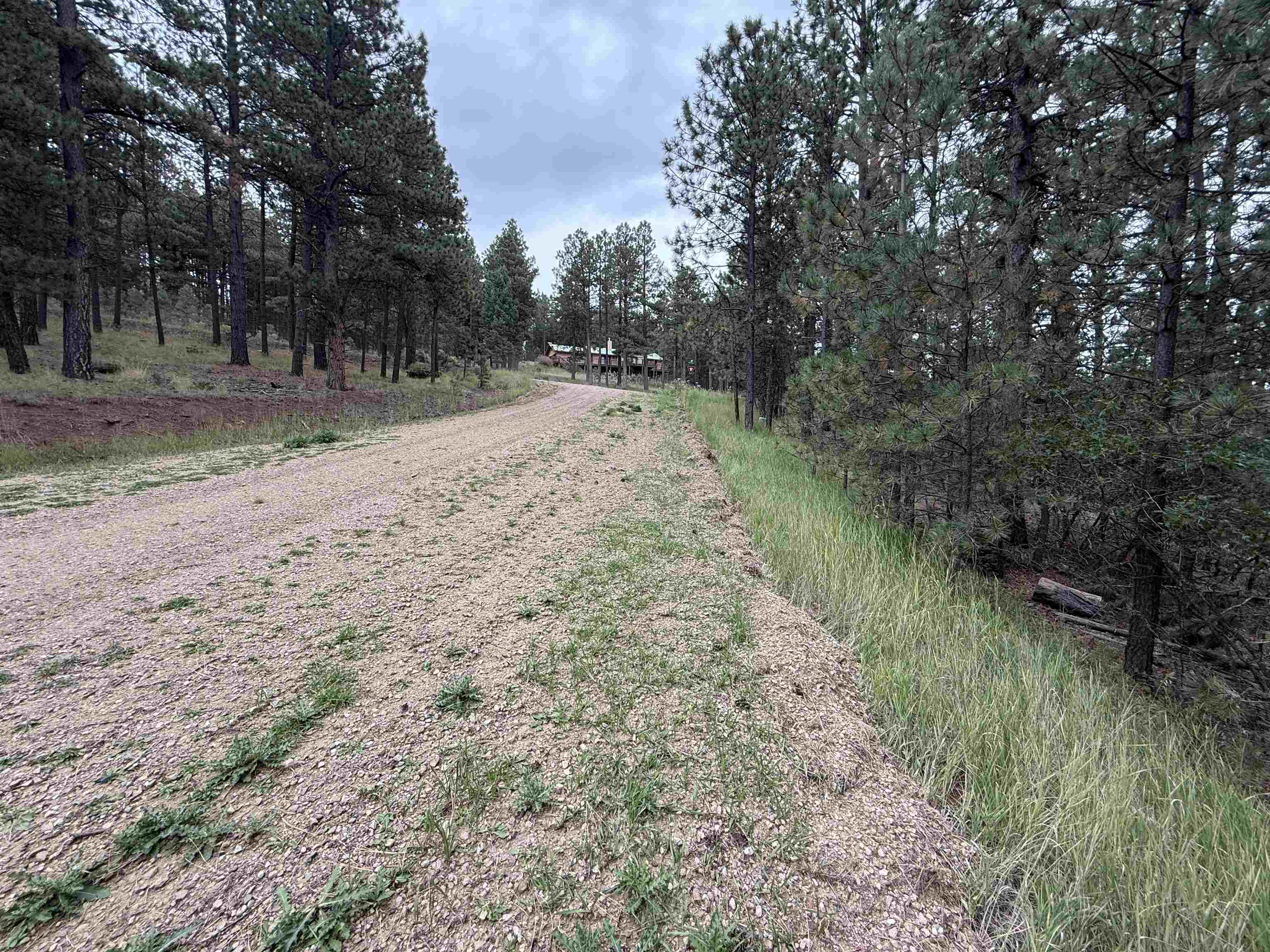 Lot 158 Aspen Pl