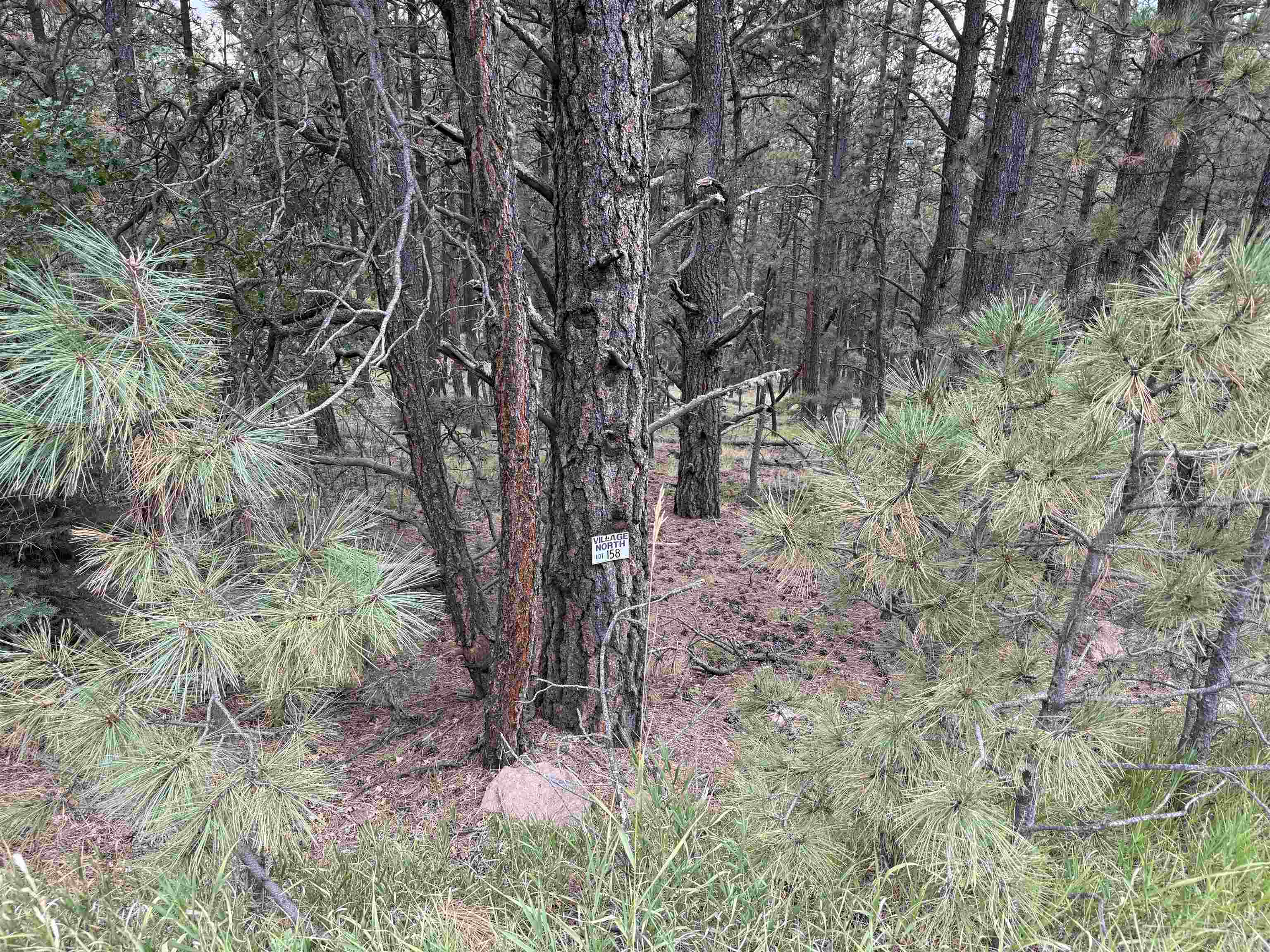 Lot 158 Aspen Pl