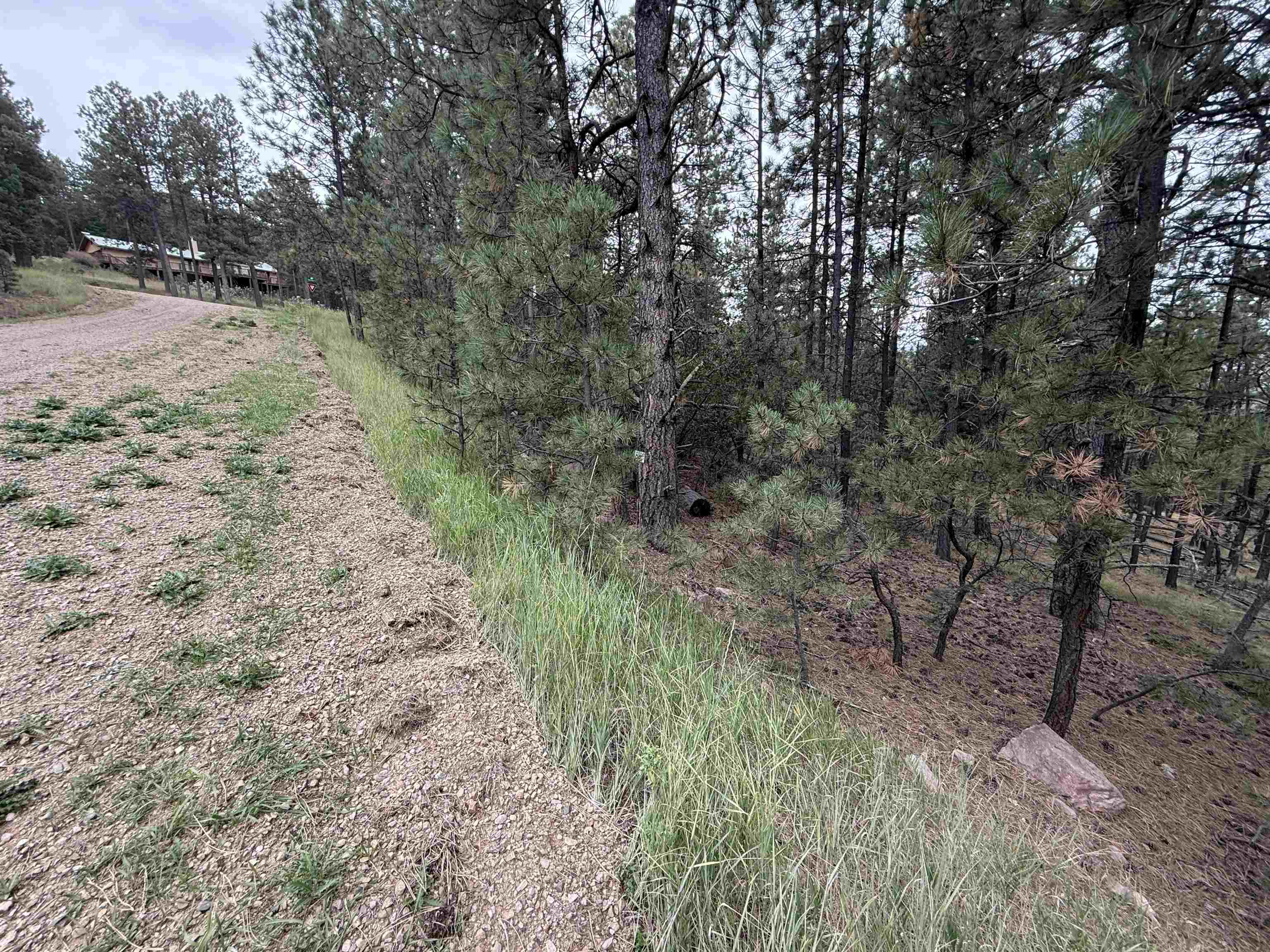 Lot 158 Aspen Pl