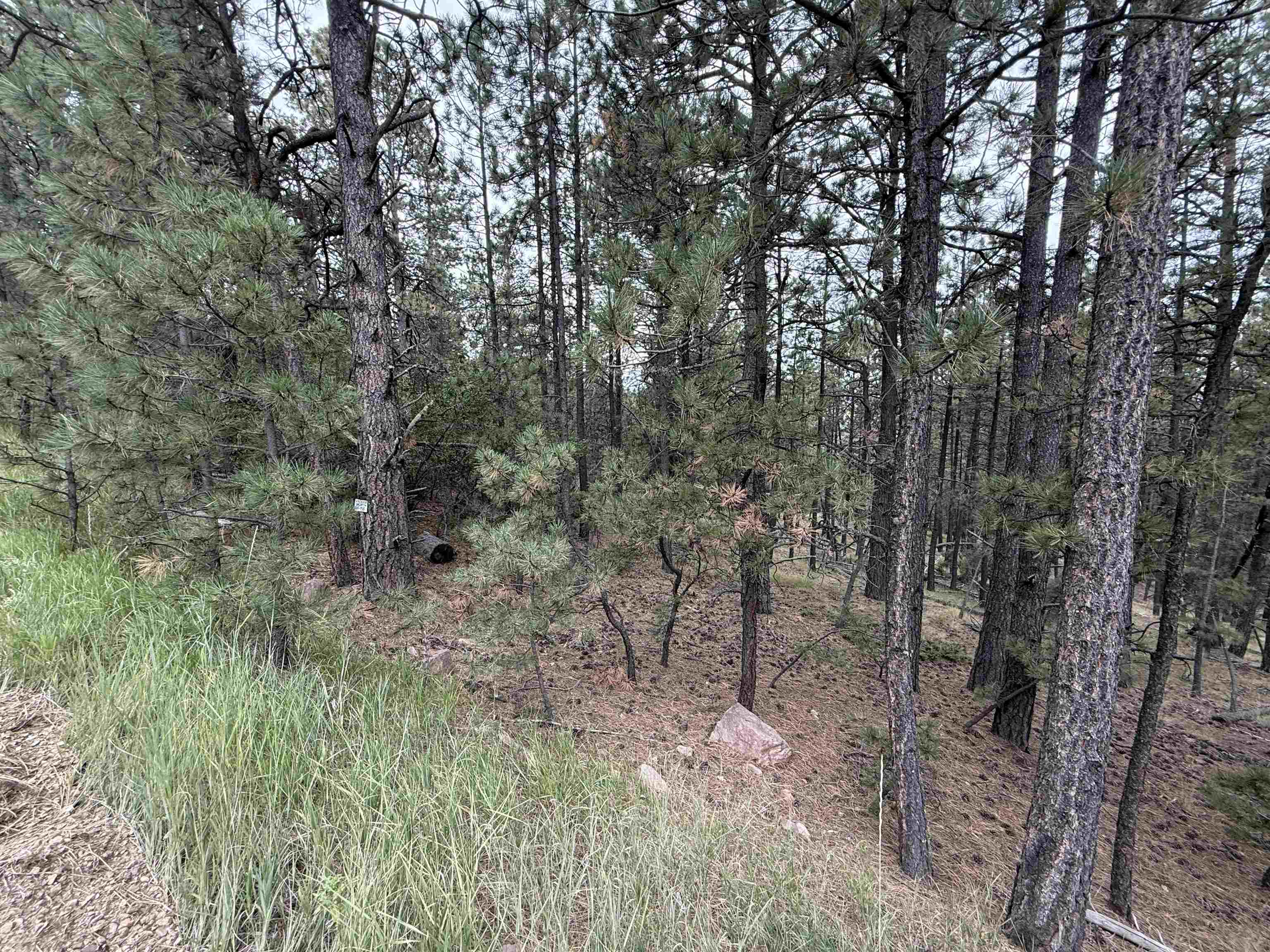 Lot 158 Aspen Pl