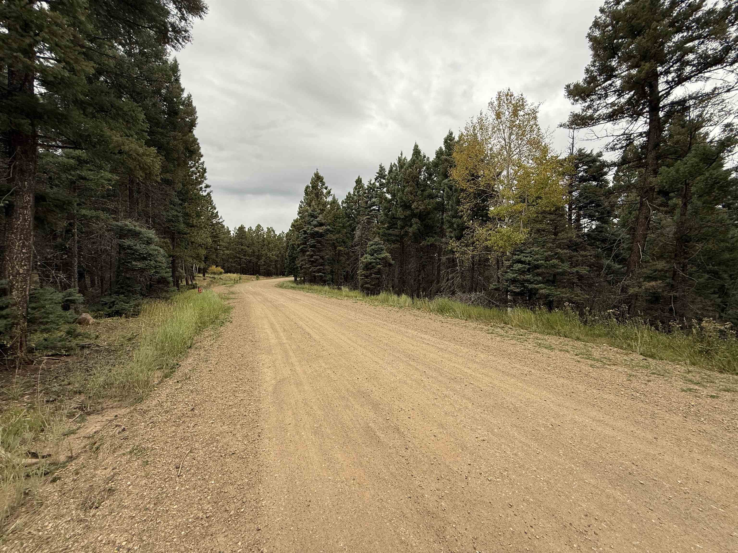 Lot 173 Snowbird Ln