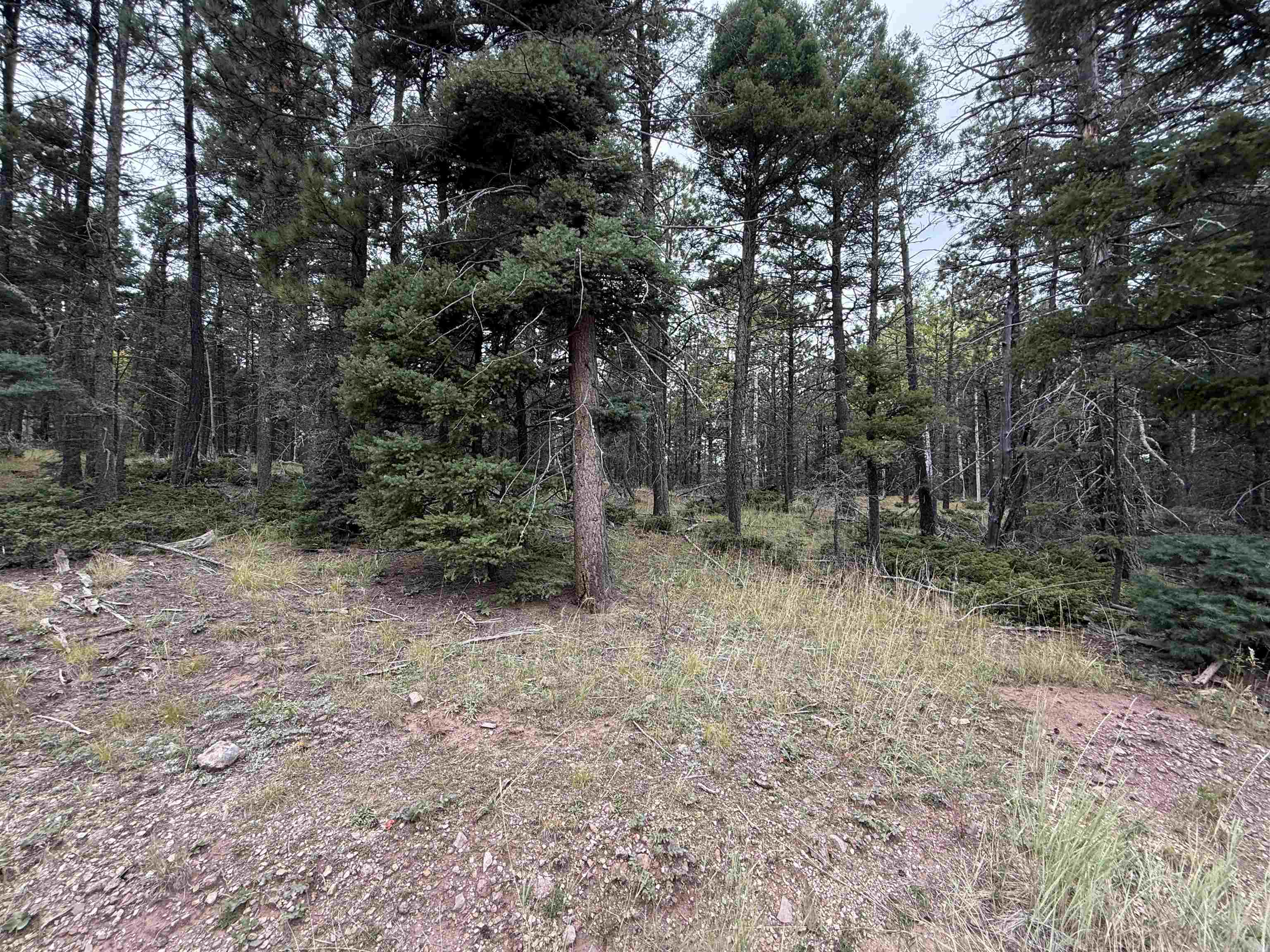 Lot 173 Snowbird Ln