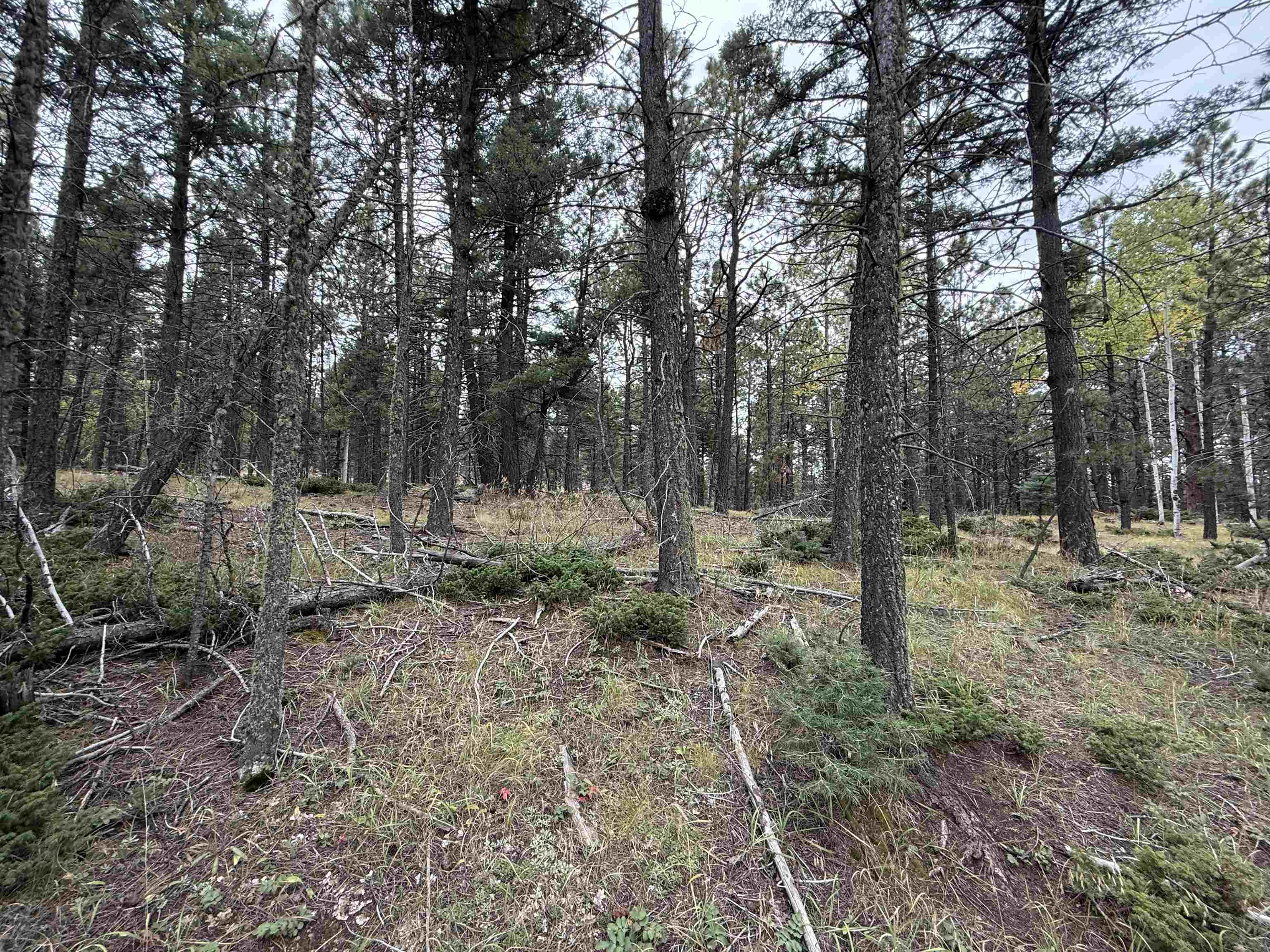 Lot 173 Snowbird Ln
